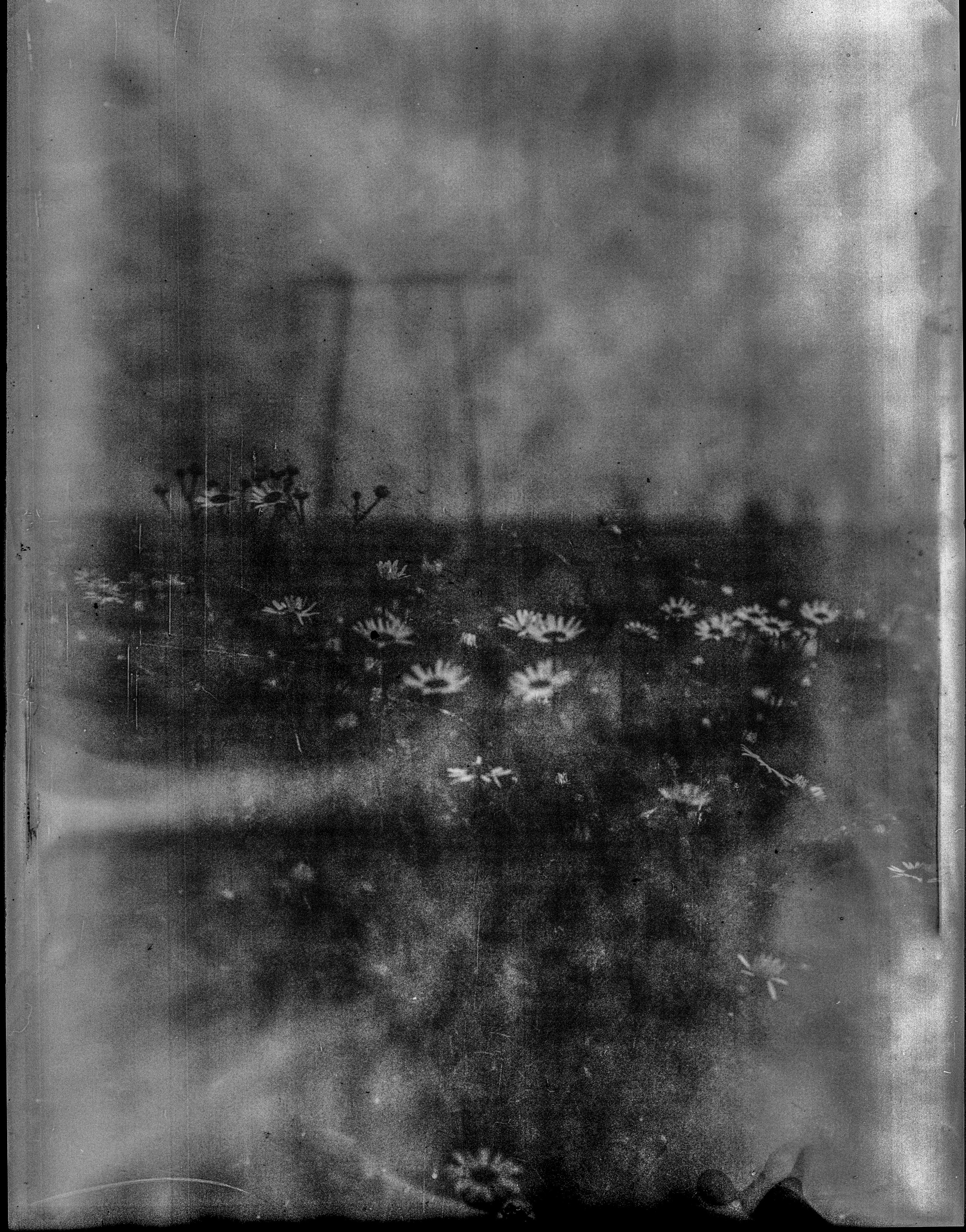 Glass plates. Darkroom aesthetics