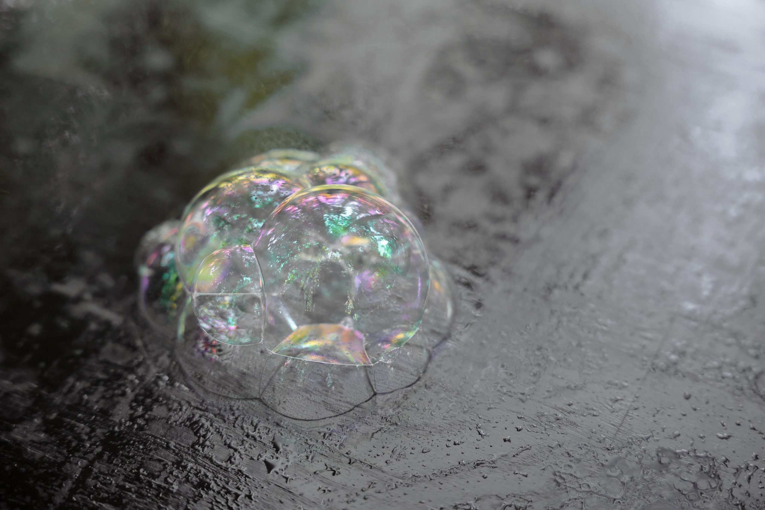 Lesnoi-bereg. Главная