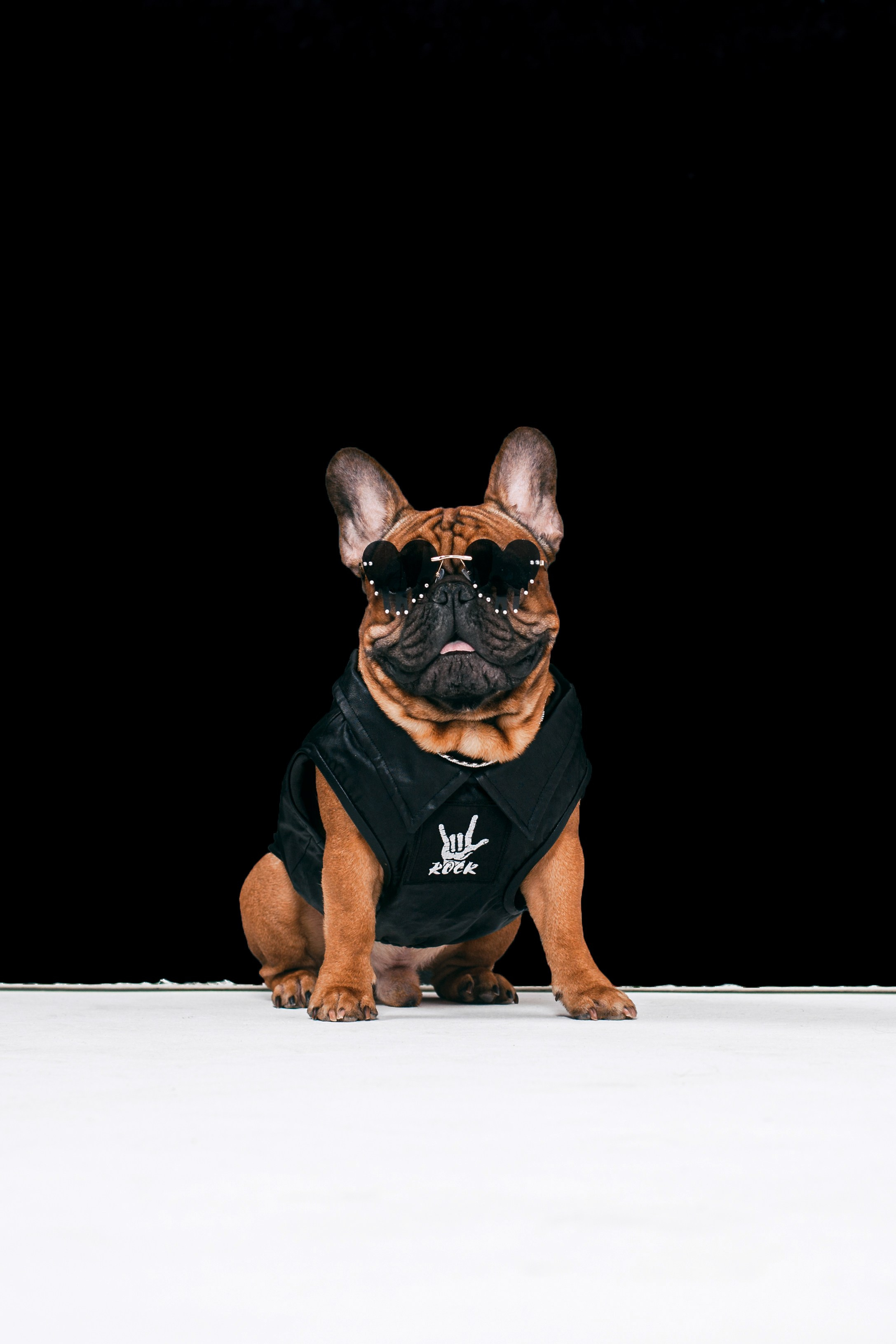 Пижамная вечеринка французских бульдогов и их хозяев. Фотограф-анималист Татьяна Степанова