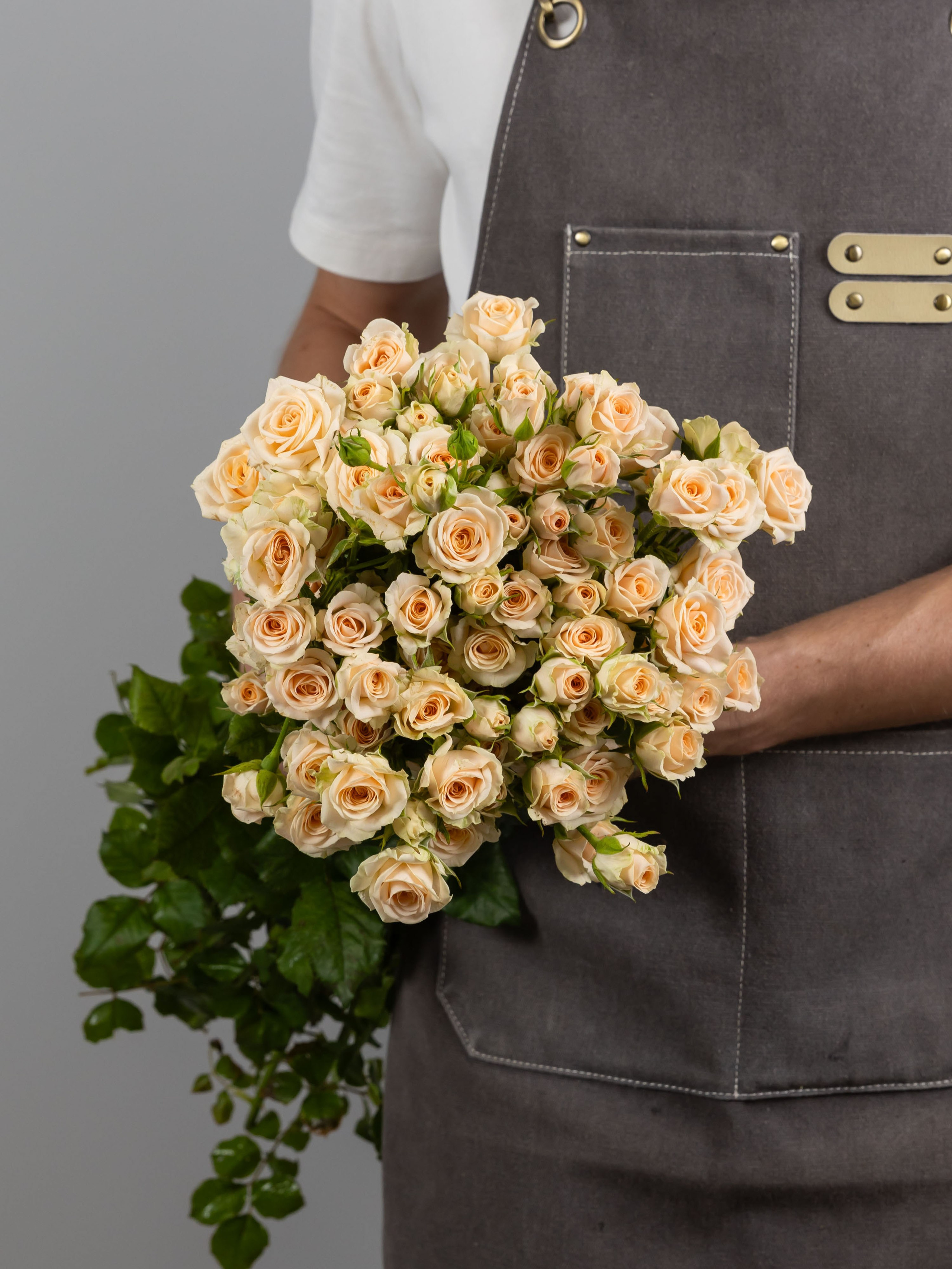 04.08.2025 Фотосессия сортов Цветополис. ФОТОГРАФ ВИНОГРАДОВА ДАРЬЯ