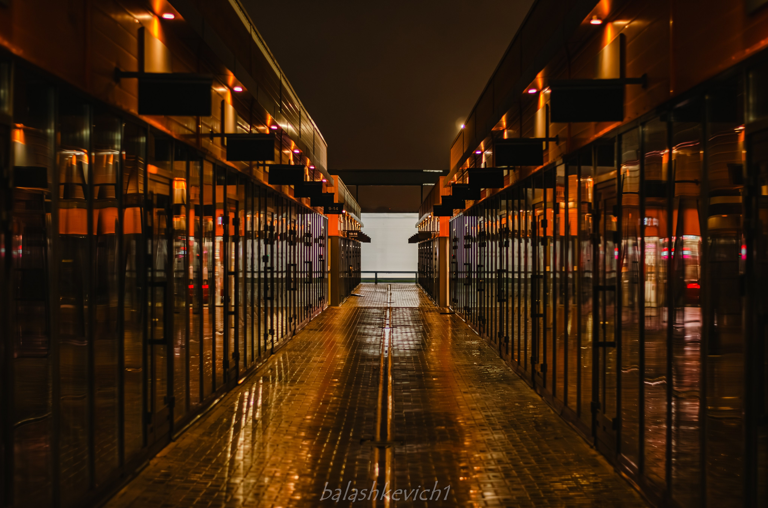 DownFly 26/11/25 — тачки. TuninGGameS Media