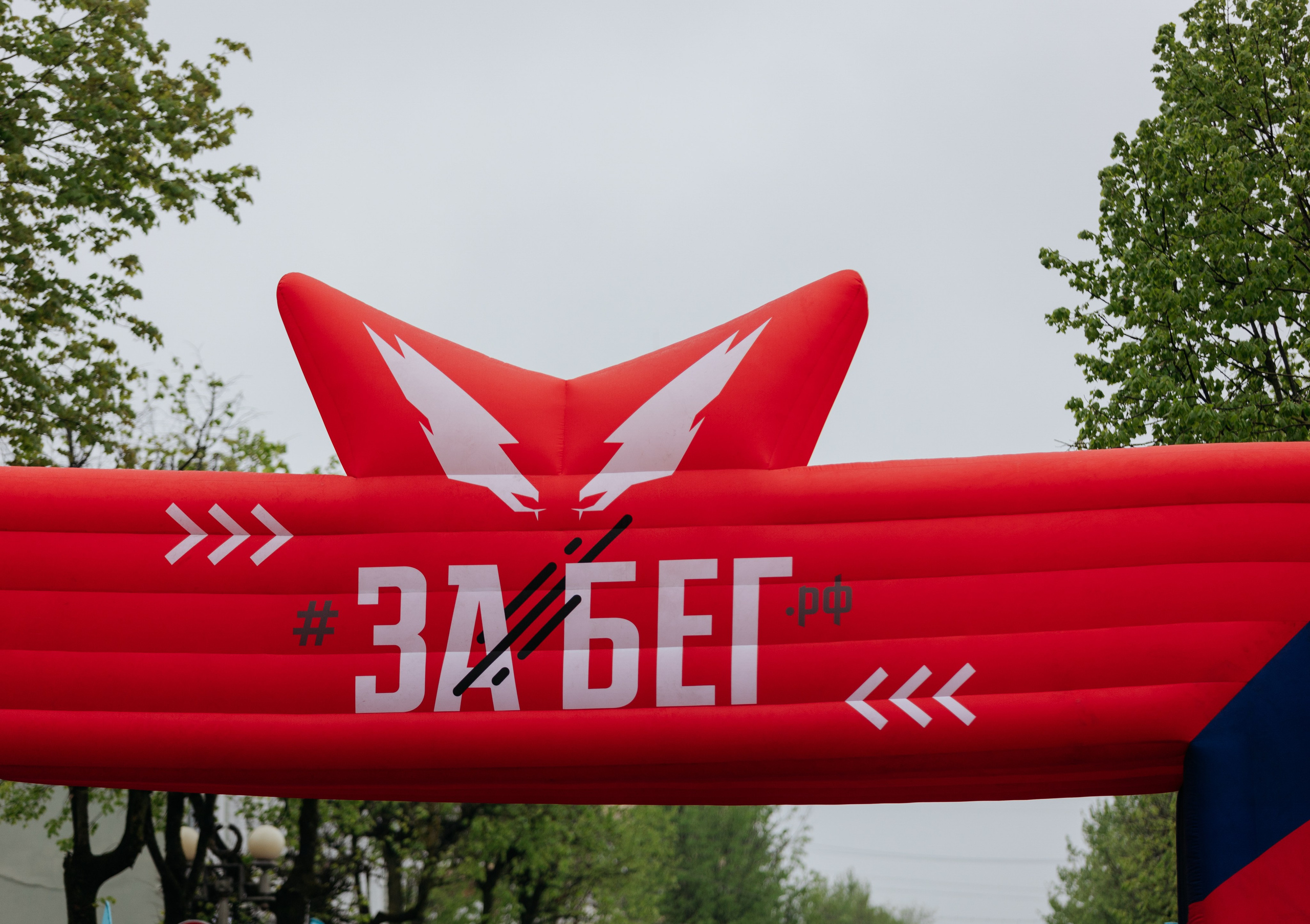 Забег.РФ (Гатчина 2025). Свадебный и репортажный фотограф в Санкт-Петербурге