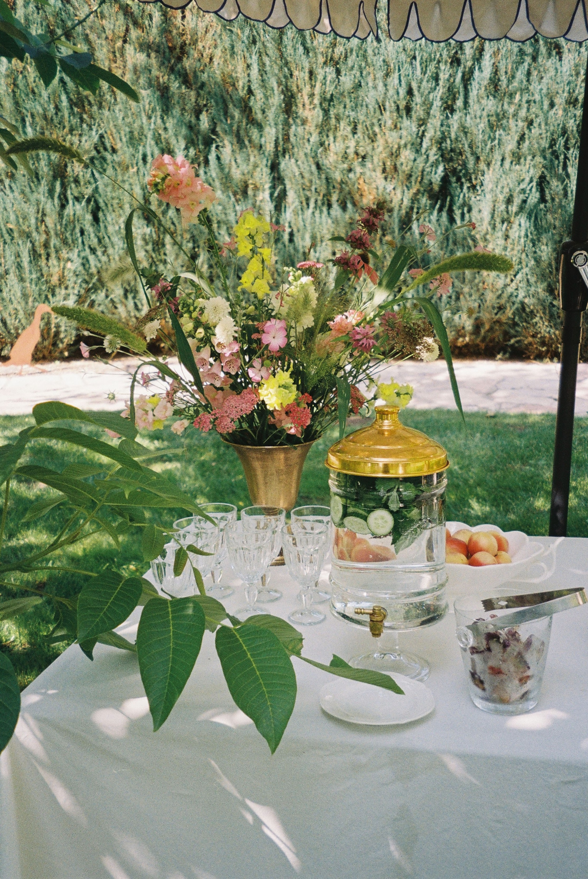 Пленка. Фотограф Ирина Гринько Тольятти Самара Москва