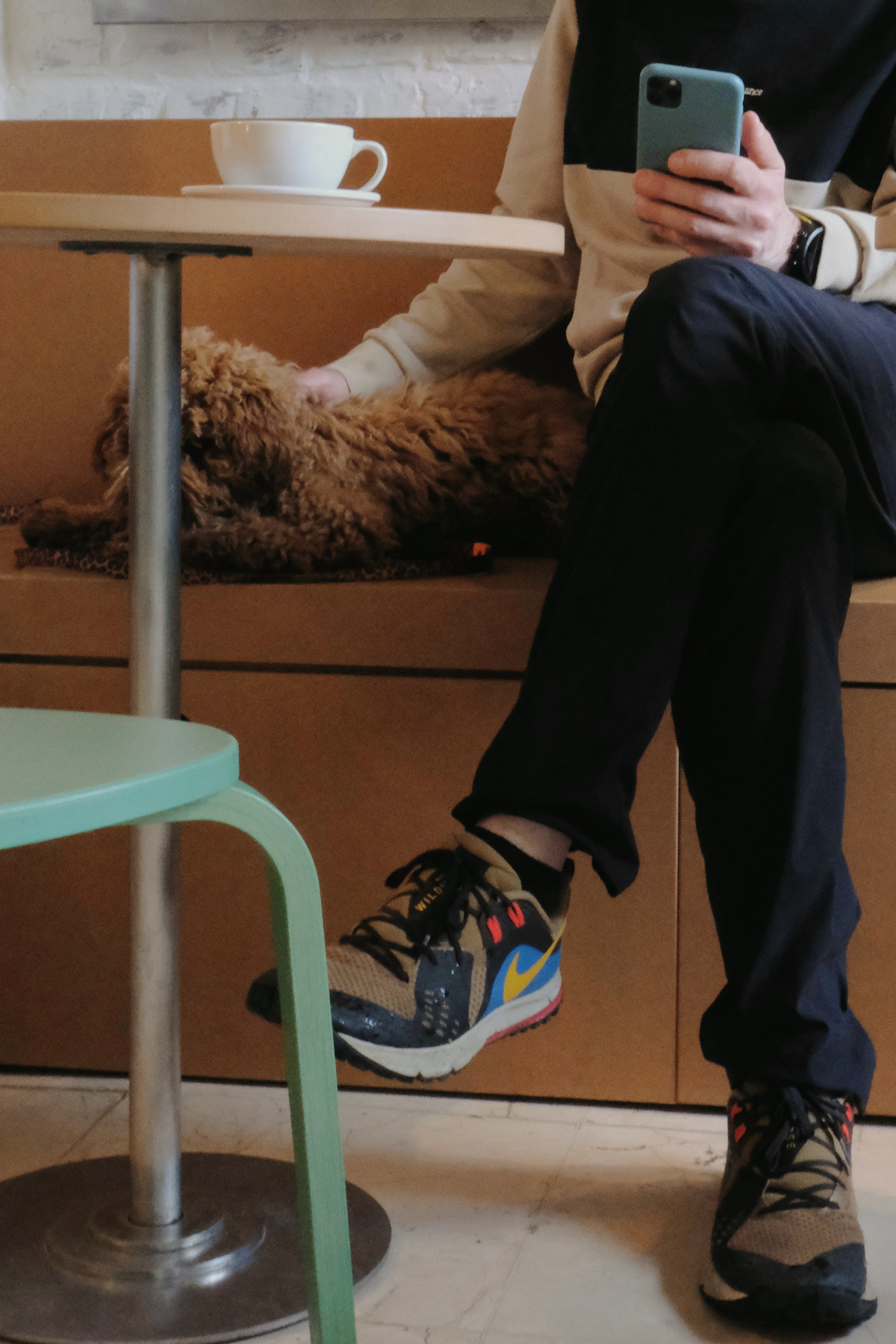 Питомцы. Татьян гертье