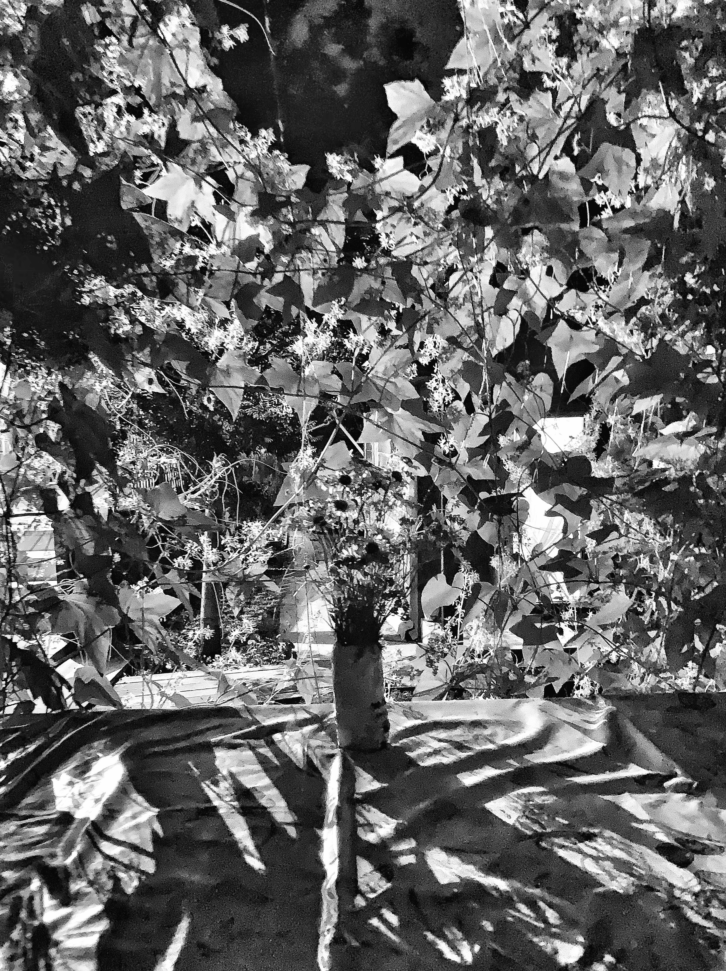 2019 год. Тащилин Сергей. Фотографии. Жизнь. Хобби