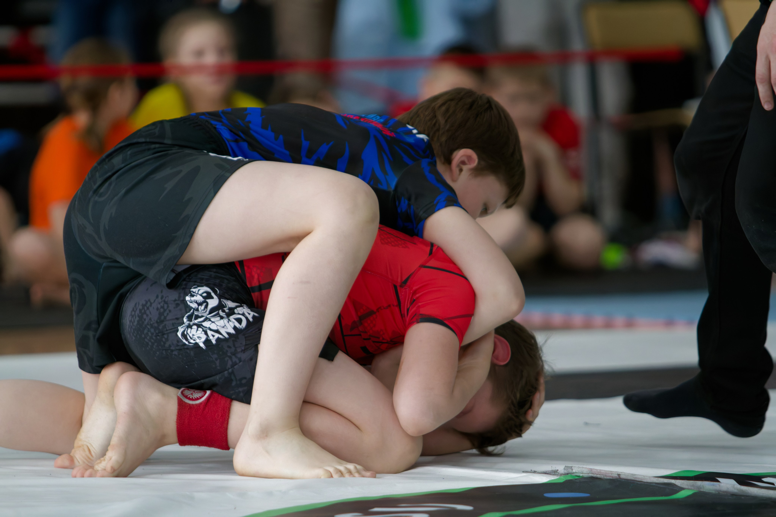 Борьба. Джиу-джитсу 26.04.2025. Репортажный и спортивный фотограф в г. Пермь Зильберг Павел