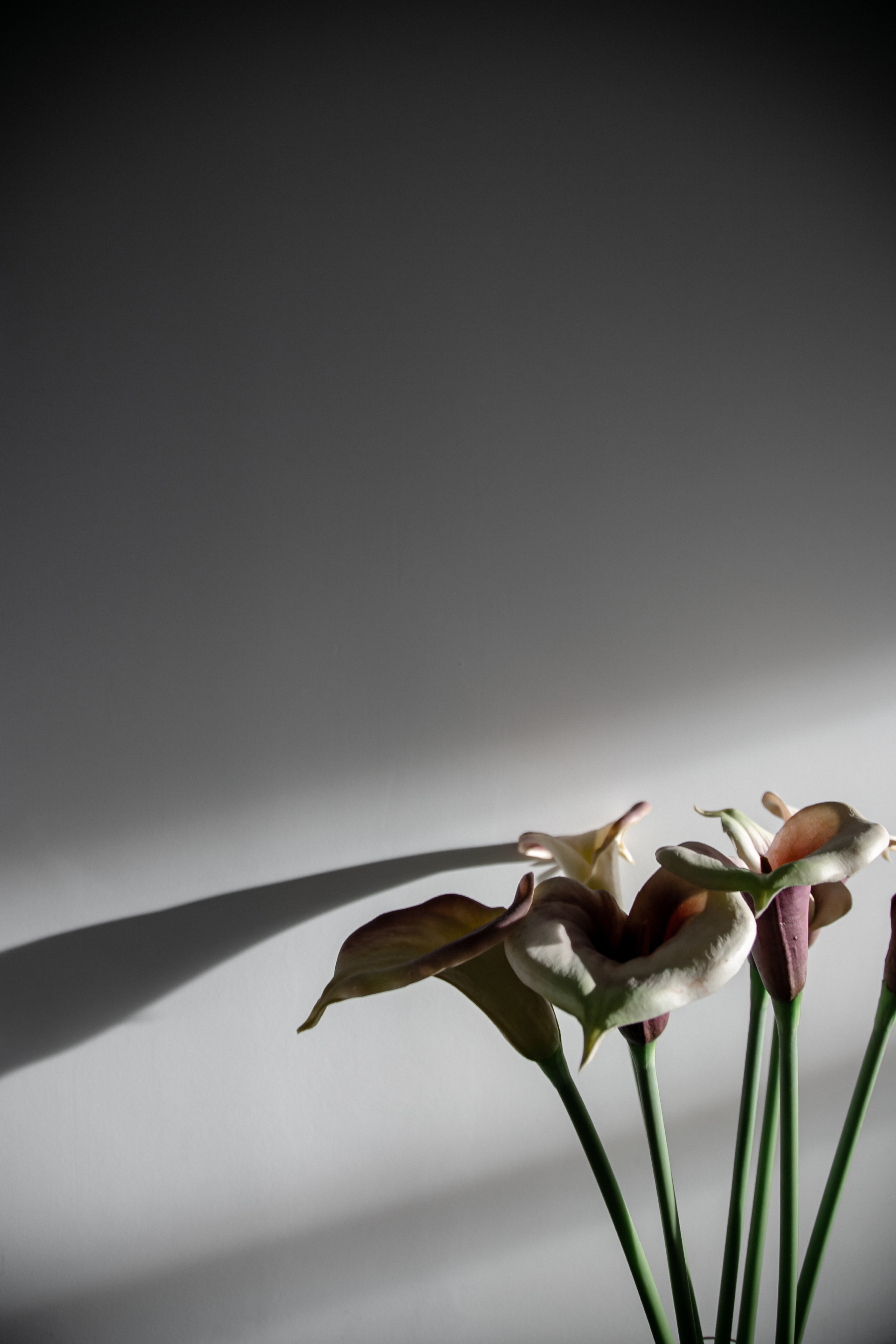 Backstage «SPORTICO 2.0». Фотограф Иван Гуляев