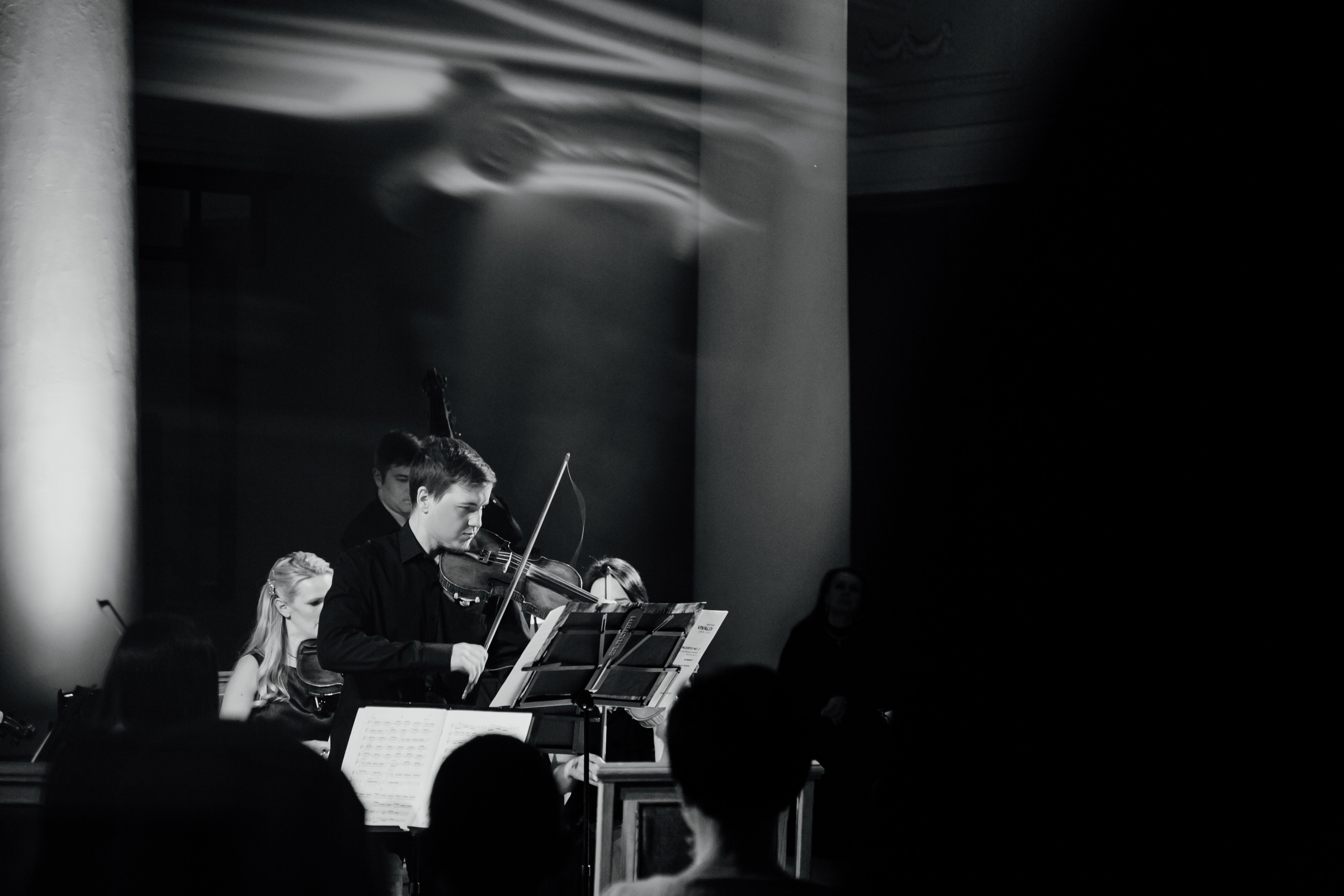 Музыкальный салон «Про Культуру» 2. Фотограф Иван Гуляев