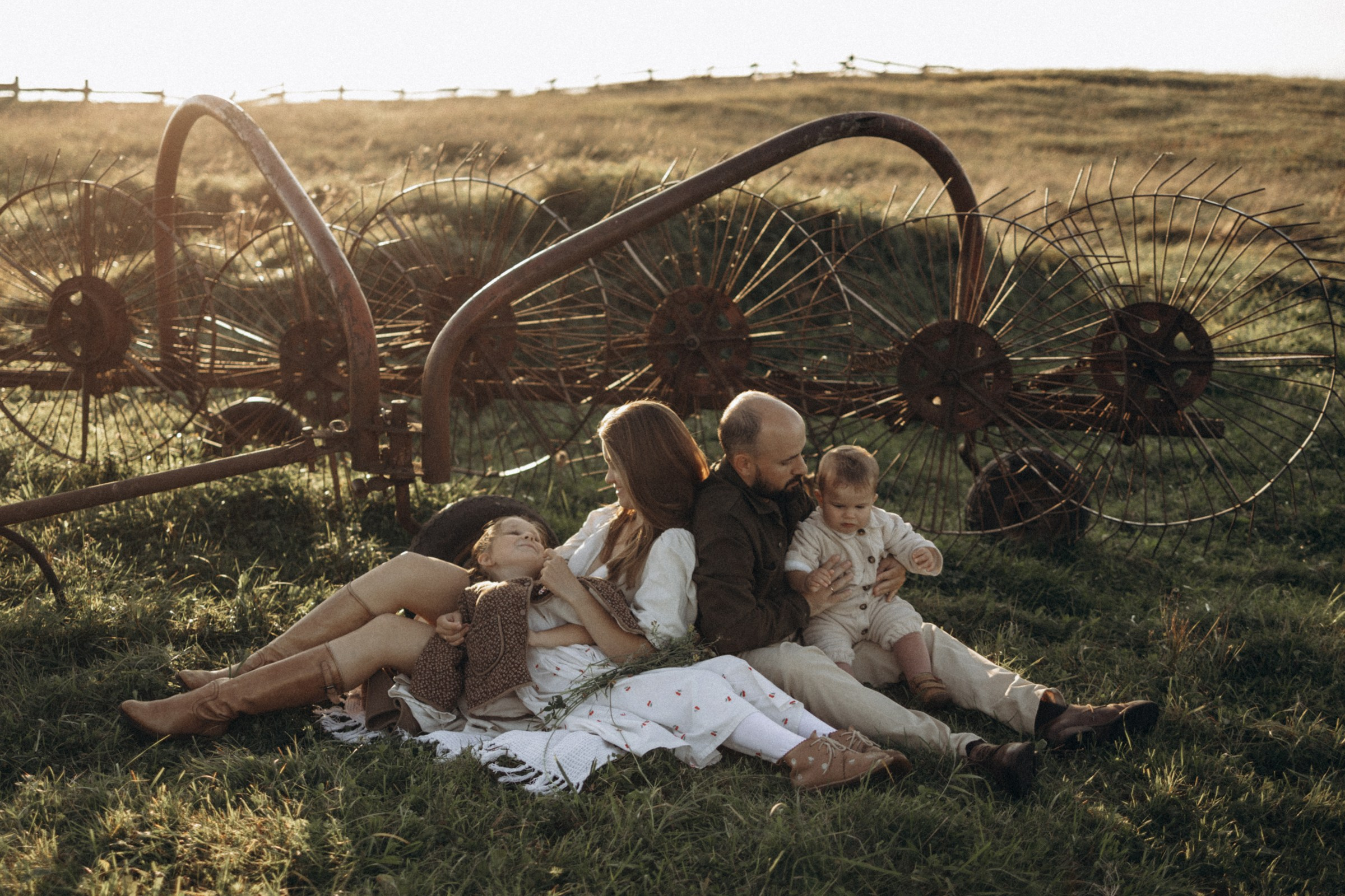 Дружелюбная овечка. Фотограф Daria Wilner