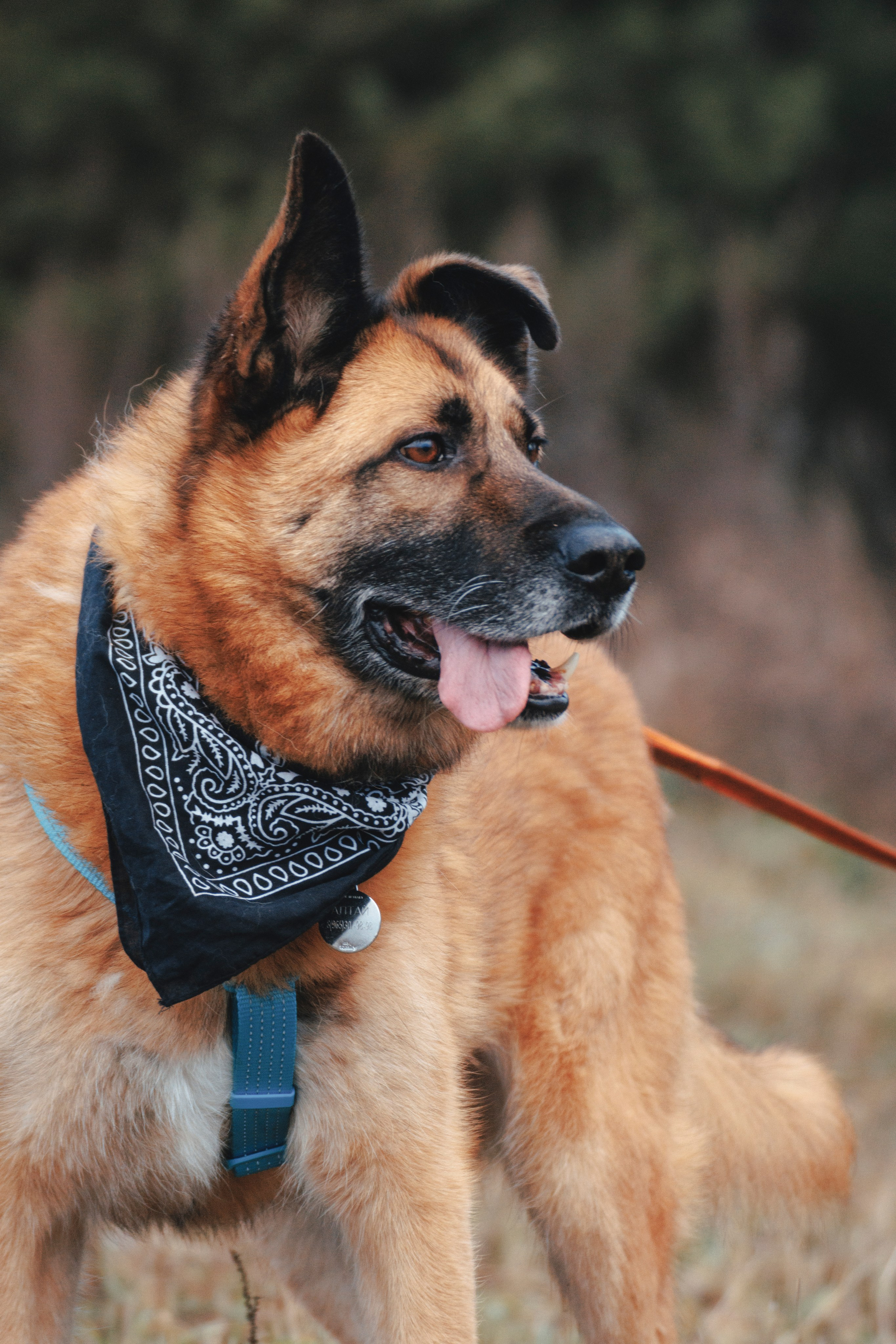 В поисках дома. Стас Соболь, фотограф анималист, репортажник, Москва