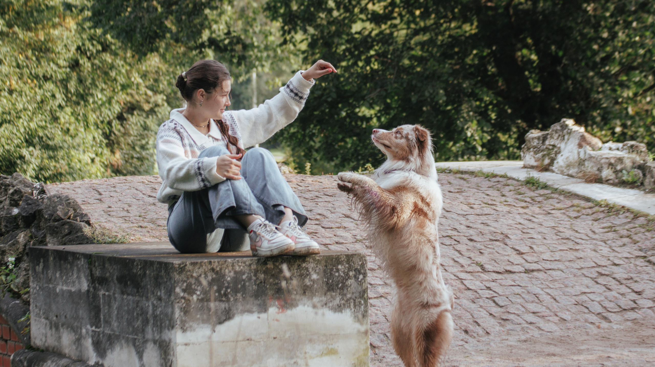 Летний рассвет с Майроном и Ланой. Стас Соболь, фотограф анималист, репортажник, Москва