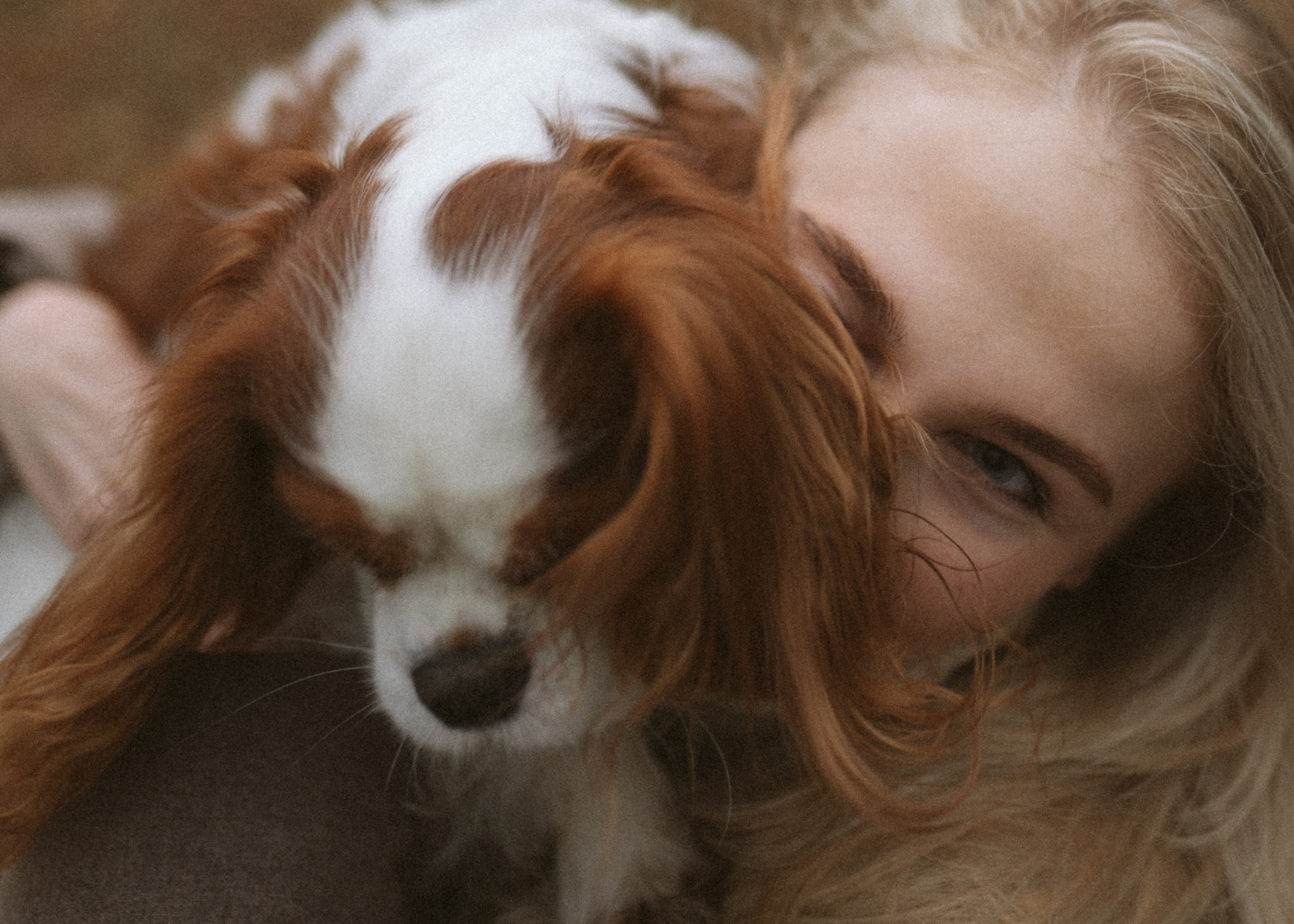 Настя и Тэйлор. Фотограф анималист в Москве Ольга Агушева