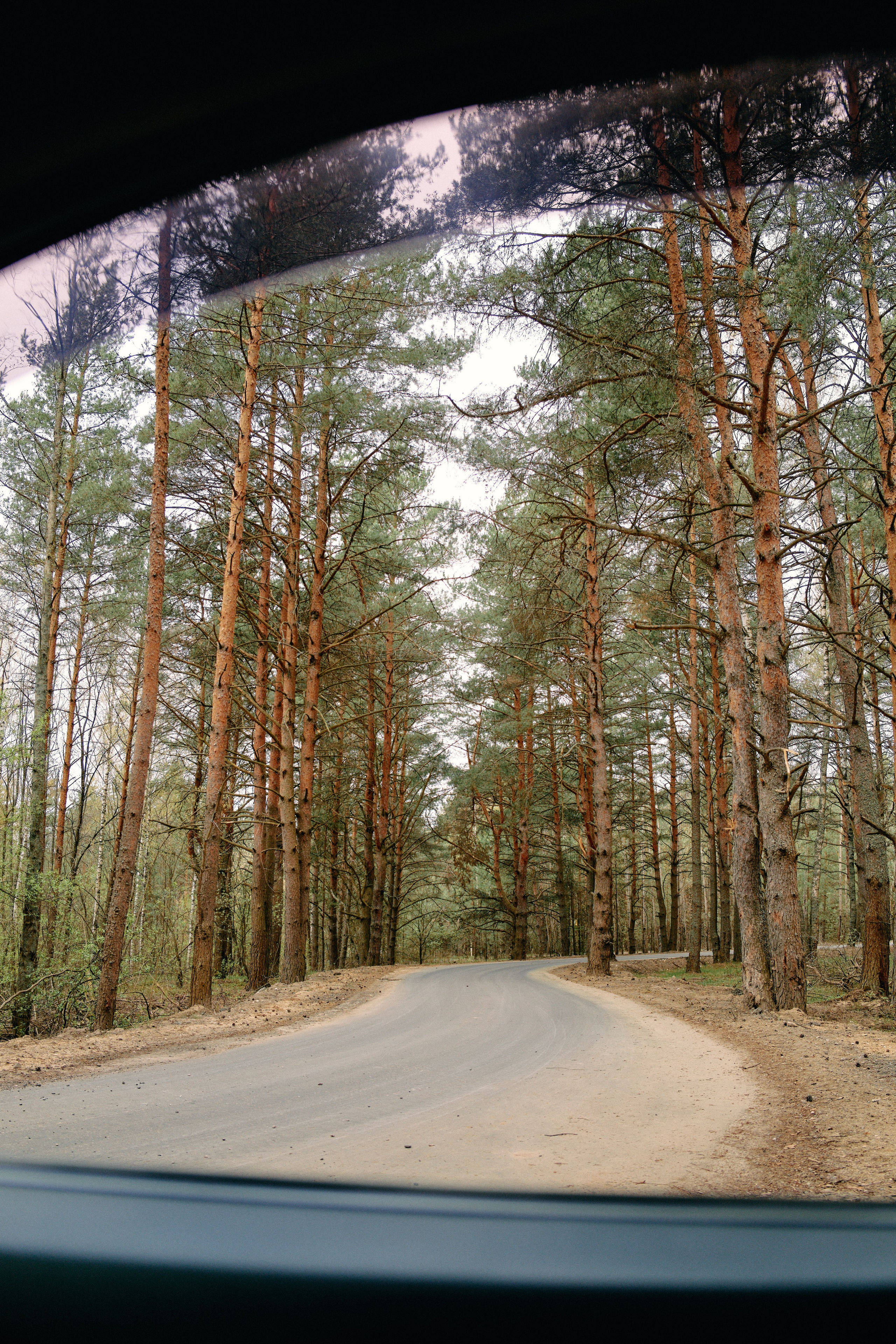Бутик-отель Поле летом. Профессиональный Фотограф во Владимире, в Москве и в Суздале — Полина Романычева