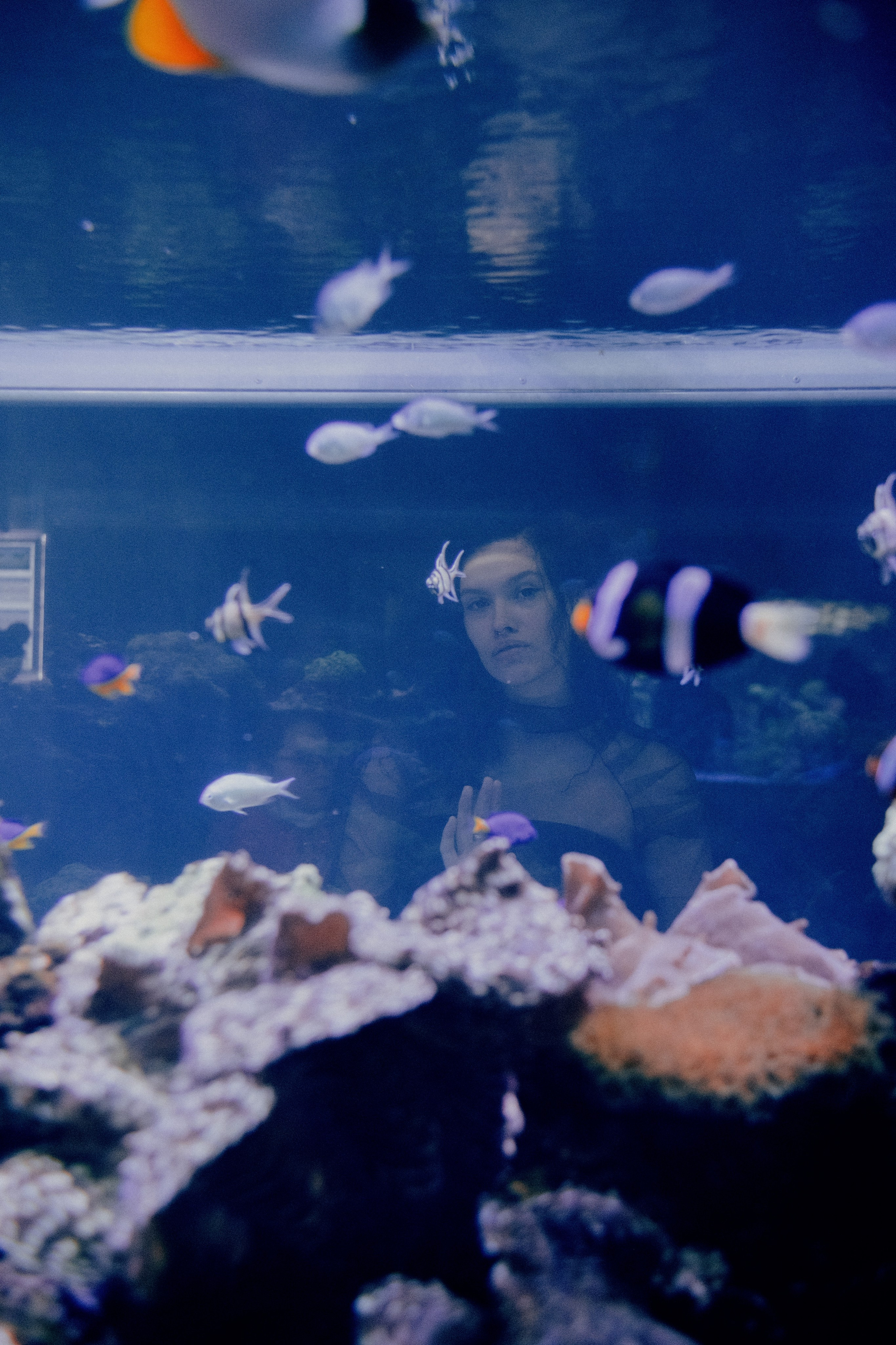 Julia. Фотограф в Санкт-Петербурге Бирюлев Илья