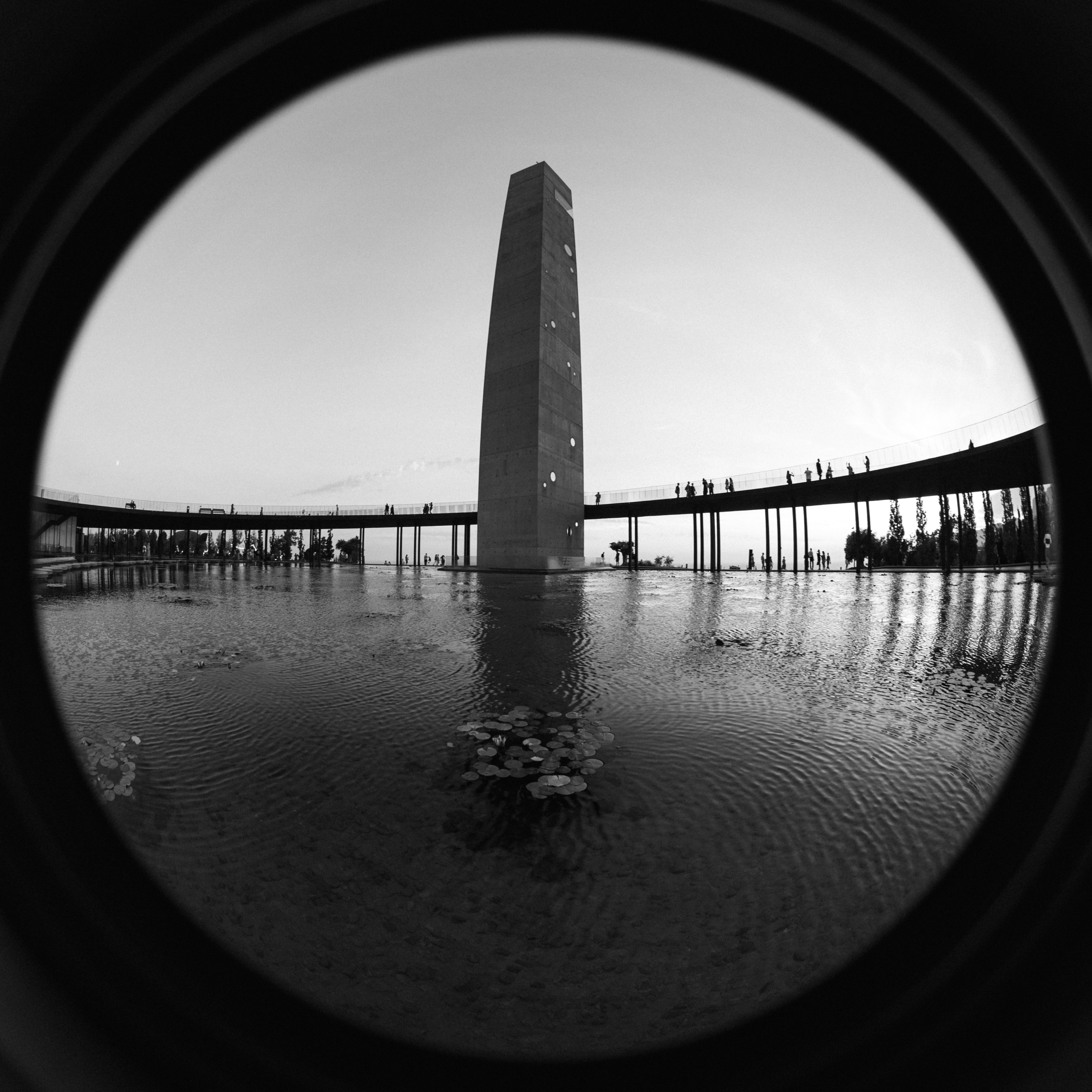 Winepark Fest. Артем Корнев Фотограф