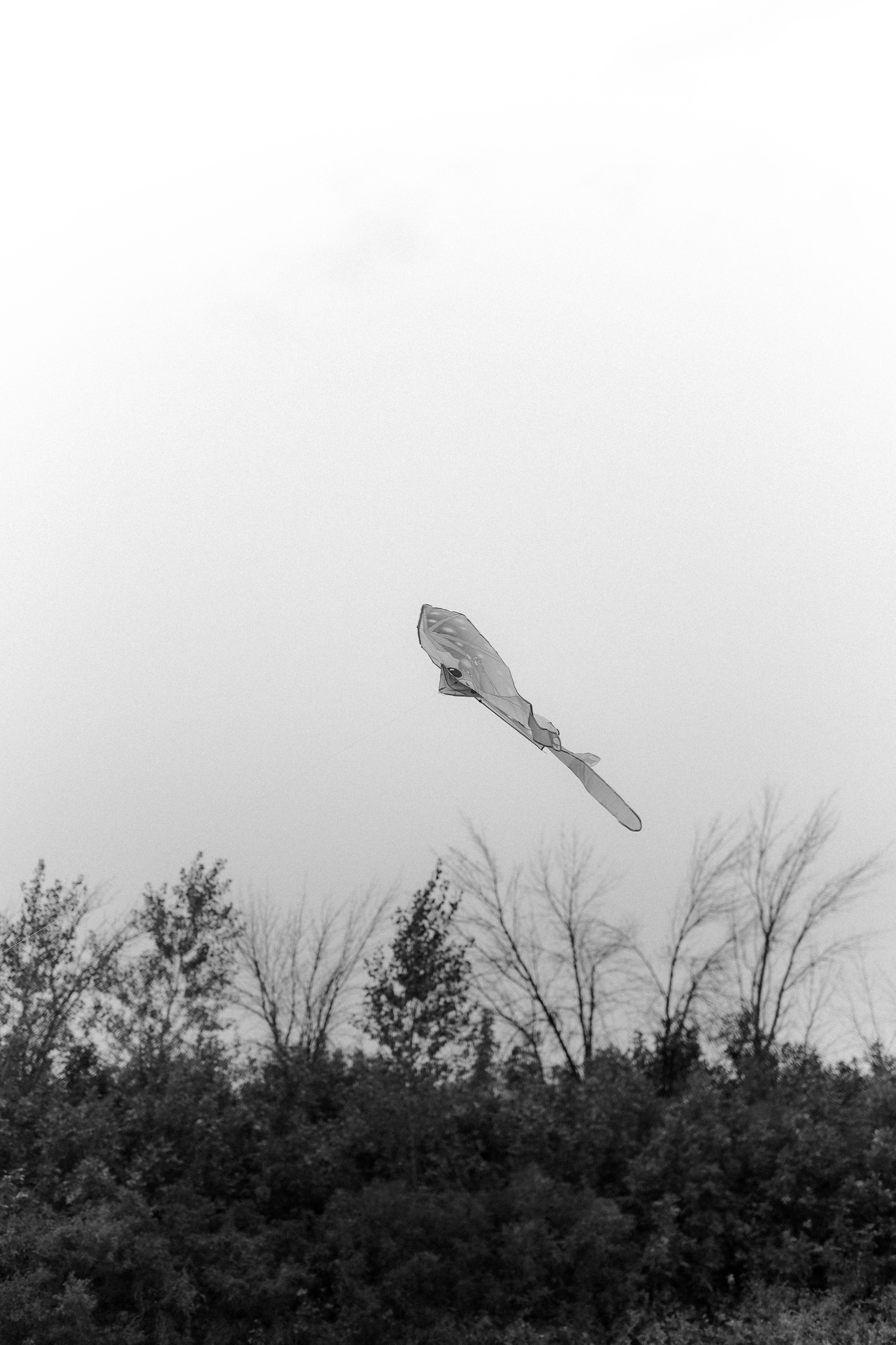 Паша + Лера + Виталина. Главная