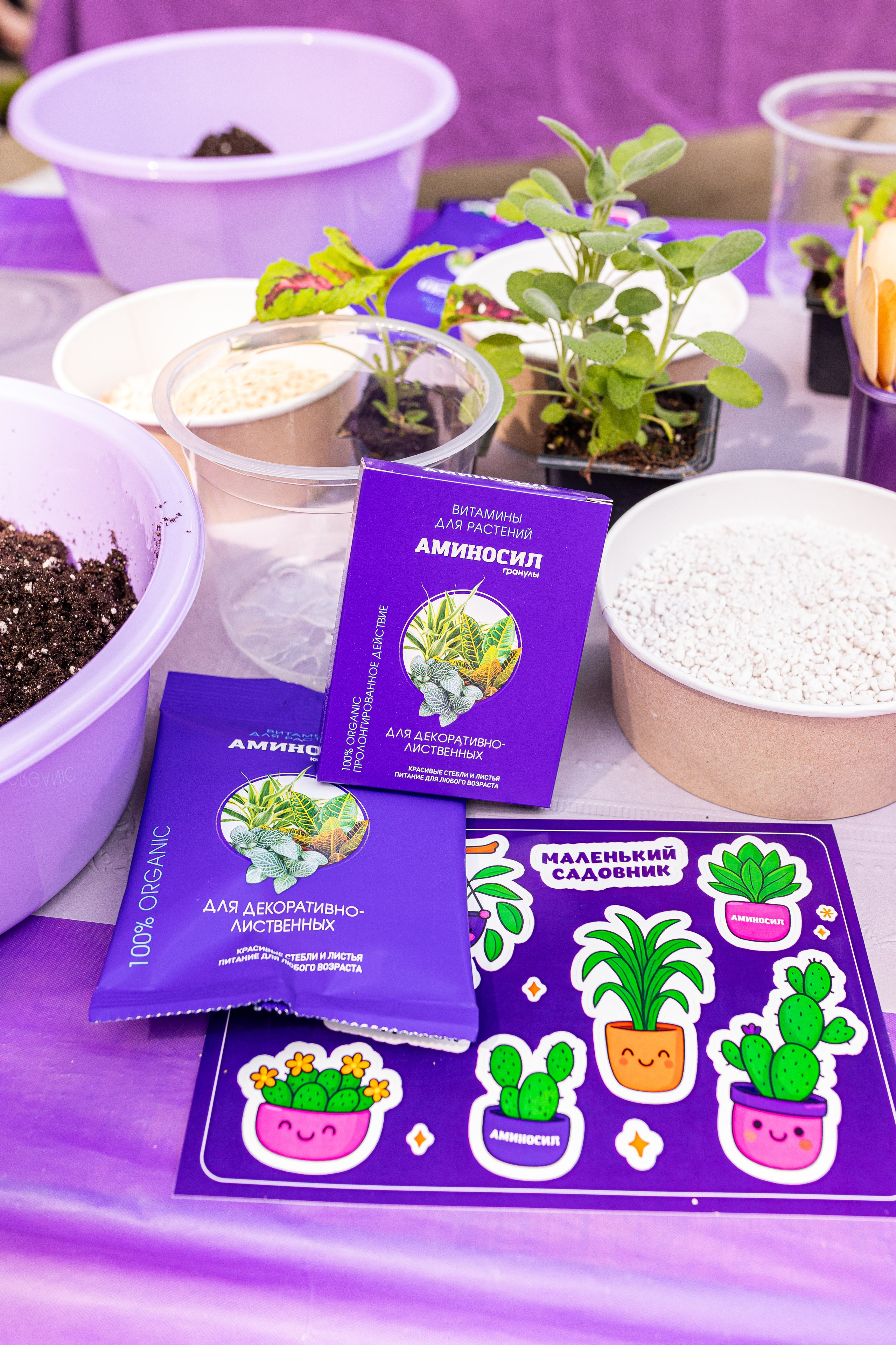 Мастер-класс от Аминосил. Александра Куликова фотограф, Москва