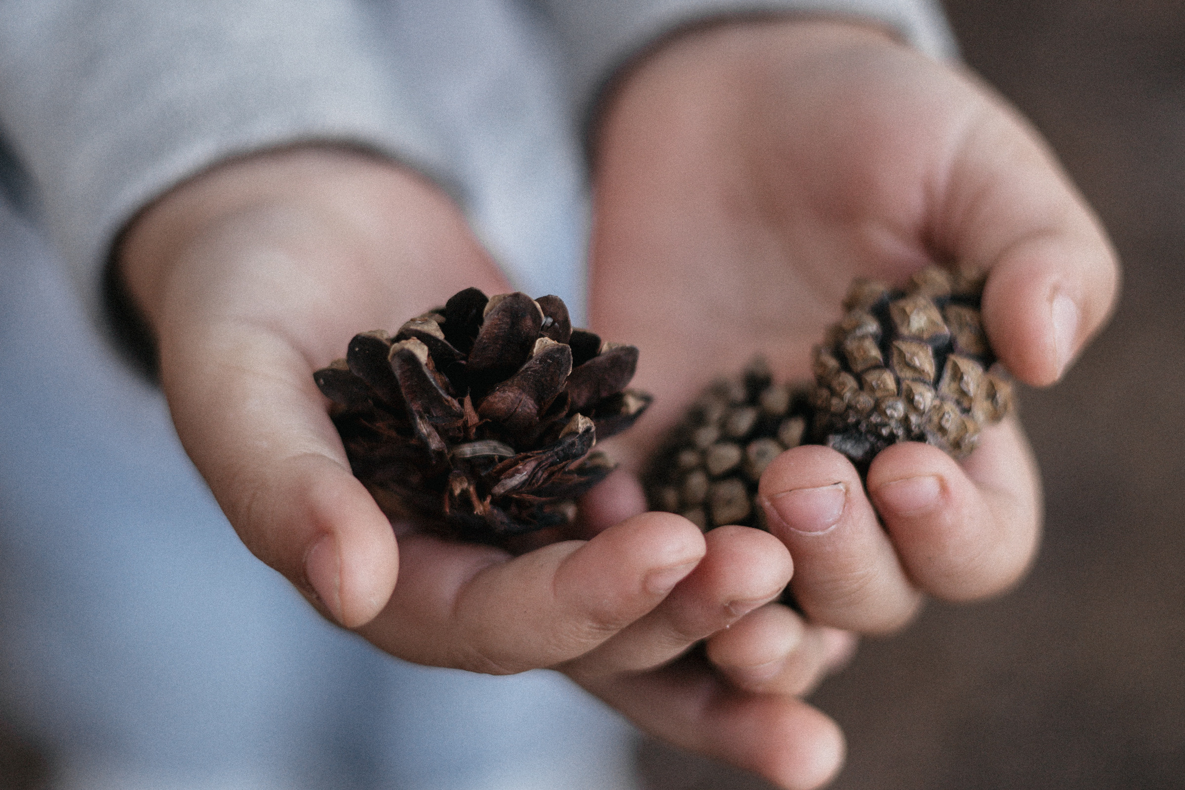 Первый костер. Свадебный и семейный фотограф в Магнитогорске Катя Буряк
