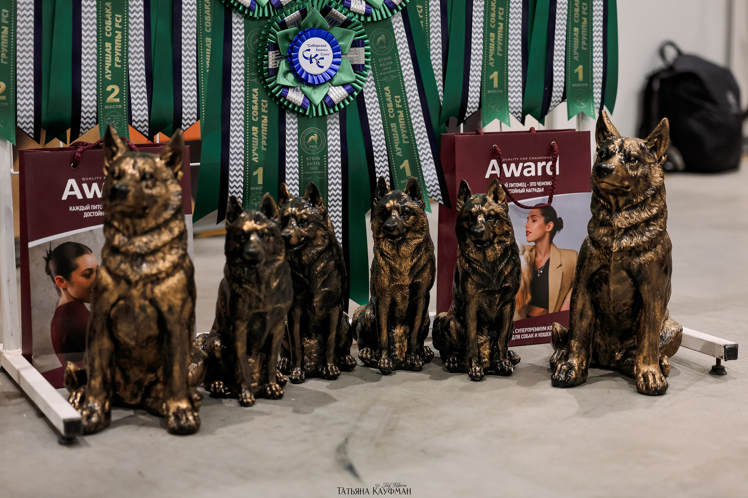 28-29.03.2026 Рейтинговая выставка в Новосибирске. Фотограф Анималист из Новосибирска Татьяна Кауфман