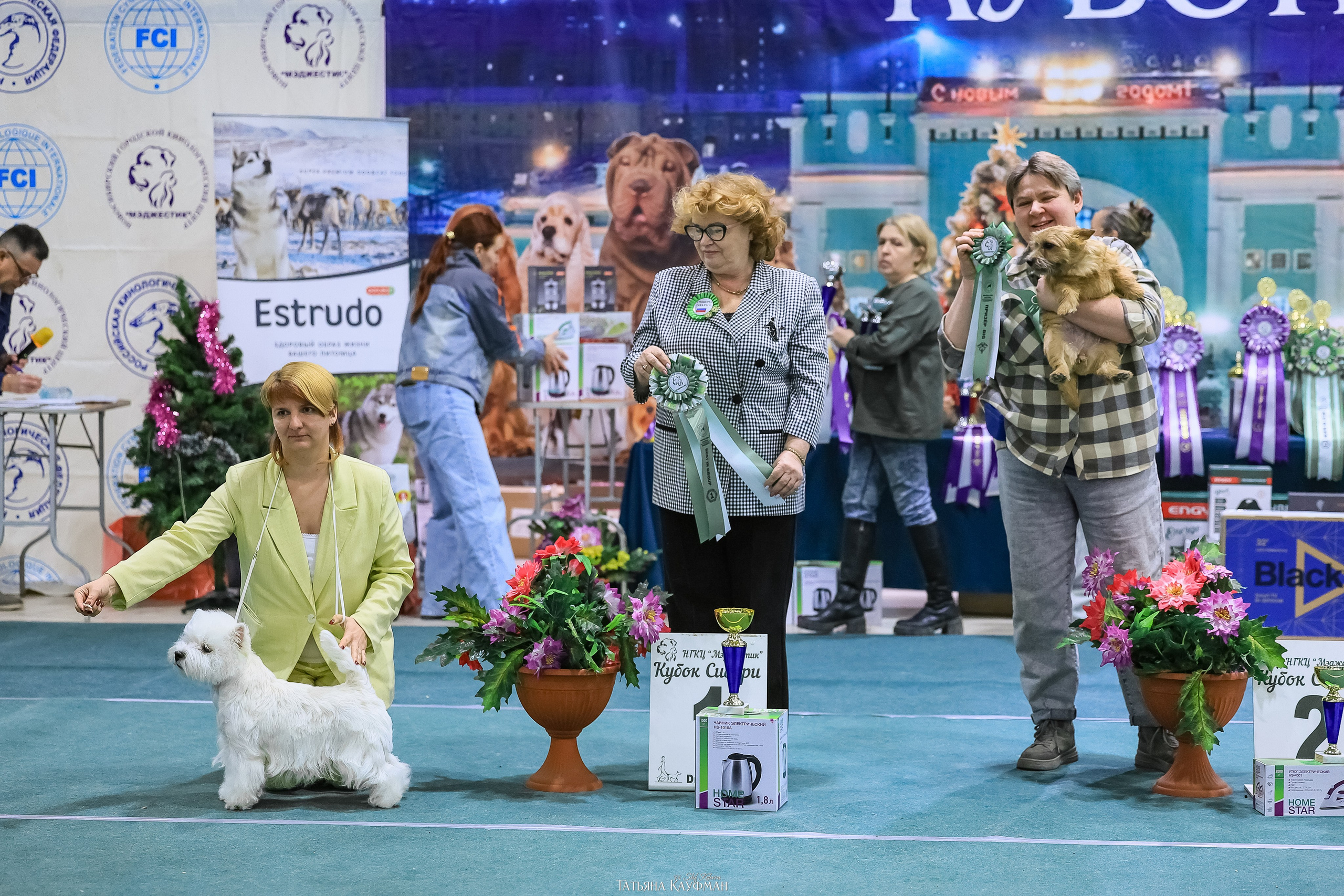 6-7.12.25 — 1-4 Национальные выставки собак в Новосибирске (2х рейтинговые). Фотограф Анималист из Новосибирска Татьяна Кауфман