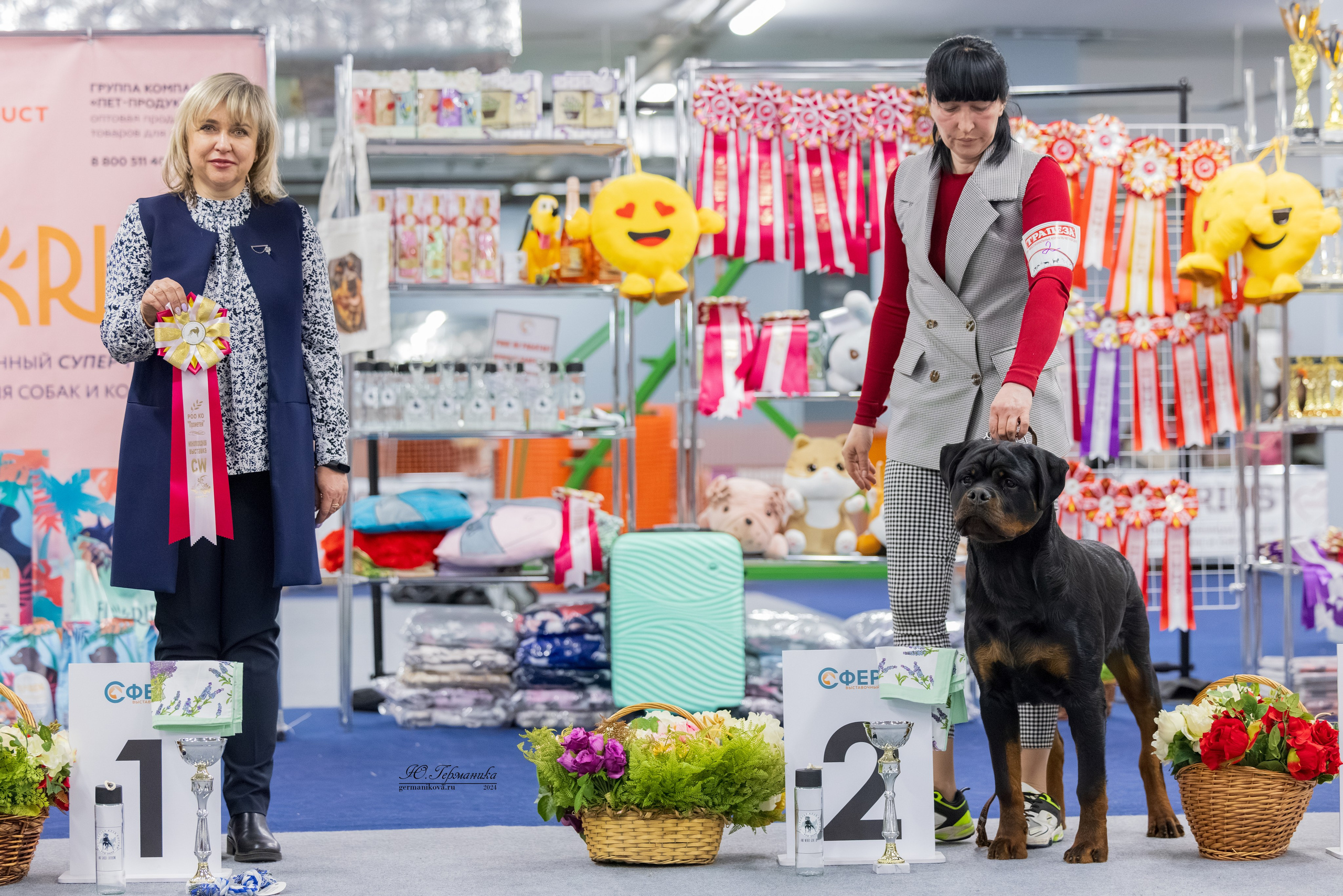 Сфера 08 и 10.03.2024 2хмоно ротвейлеров+2хмоно сао. Фотограф-анималист Юлия Германика