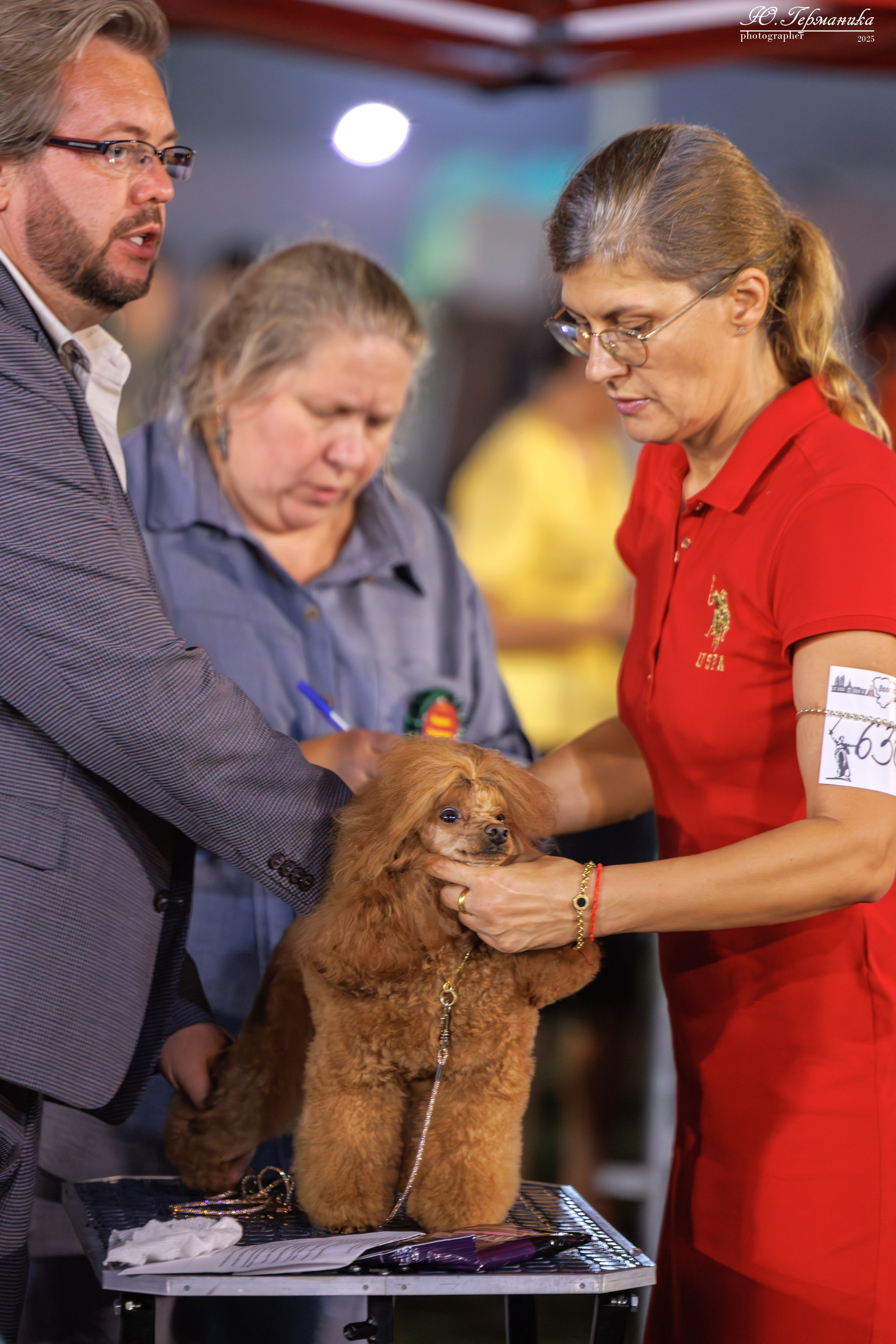 Калининград 25-27.07 Волгоград 1-3.08 2025. Фотограф-анималист Юлия Германика