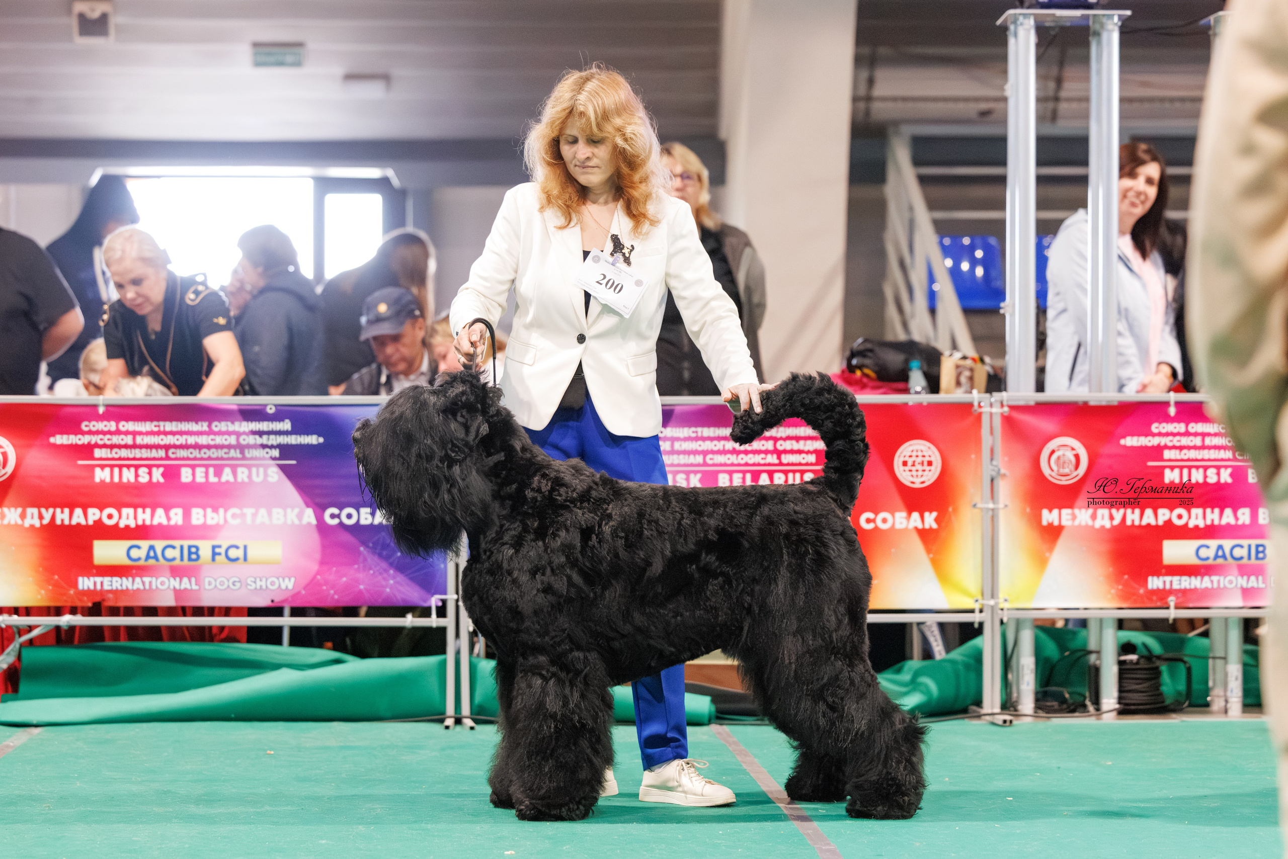 Минск 31.05-1.06.2025. Фотограф-анималист Юлия Германика
