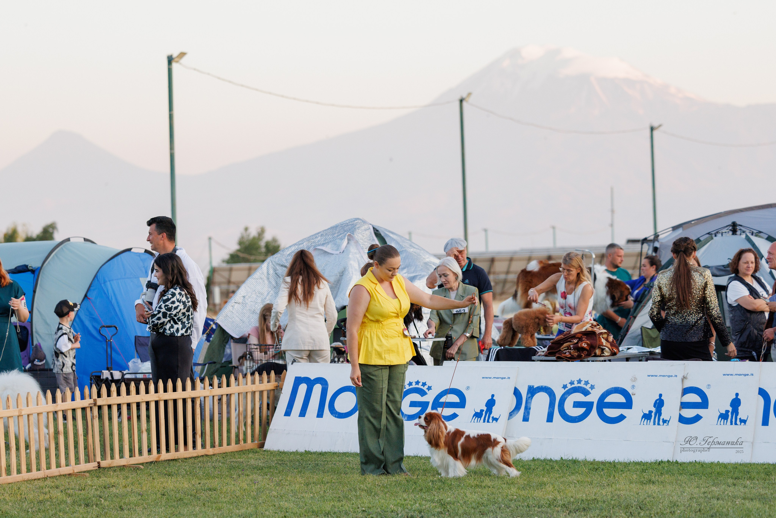Ереван 3хCACIB 23-25.06.2025. Фотограф-анималист Юлия Германика