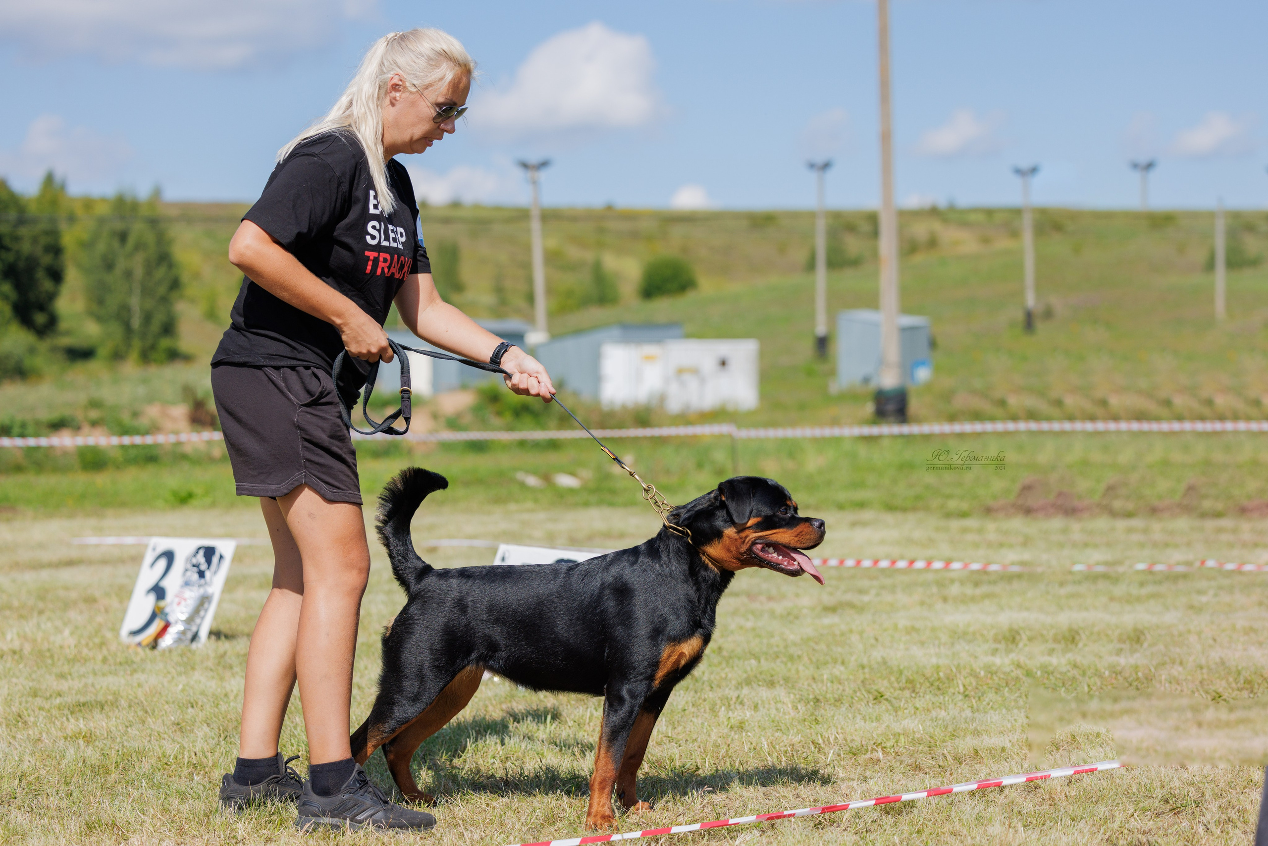Рязань-Ховрино 10-11.08.2024 3хмоно ротвейлеров. Фотограф-анималист Юлия Германика