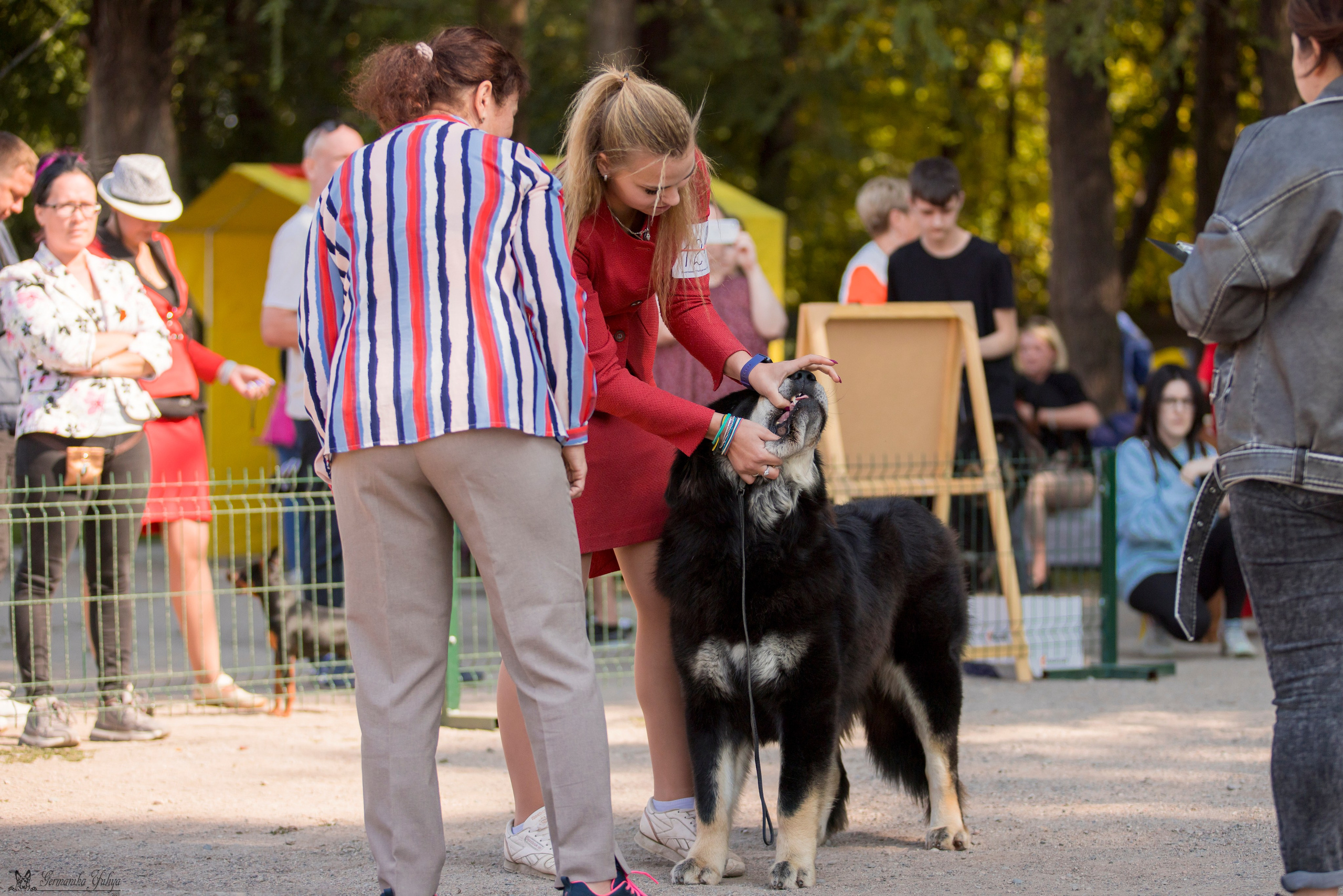 Бишкек 29.09-01.10.2023. Фотограф-анималист Юлия Германика