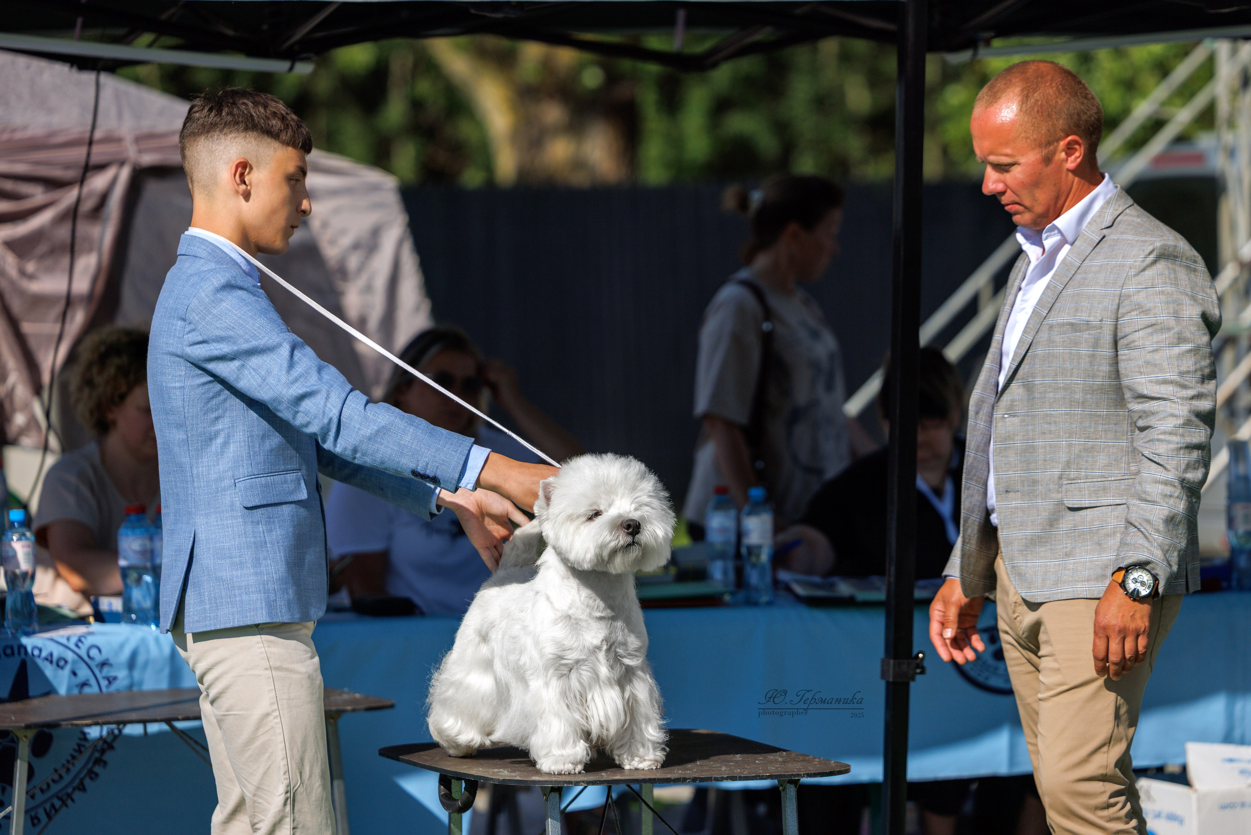 Калининград 25-27.07 Волгоград 1-3.08 2025. Фотограф-анималист Юлия Германика