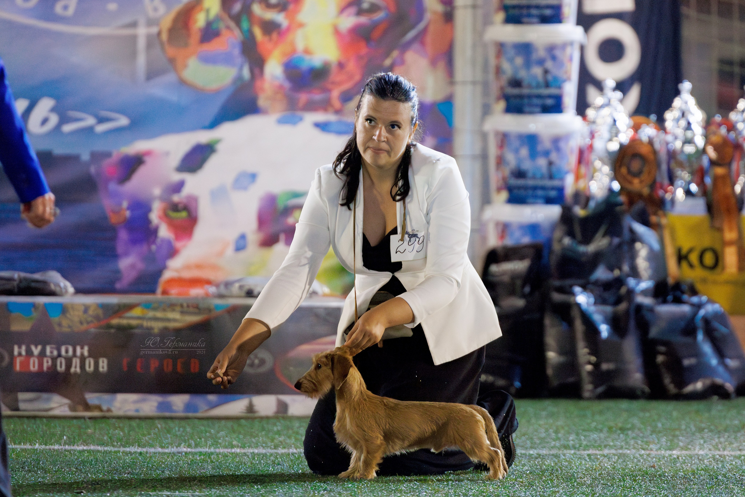 Волгоград 2-4.08.2024. Фотограф-анималист Юлия Германика