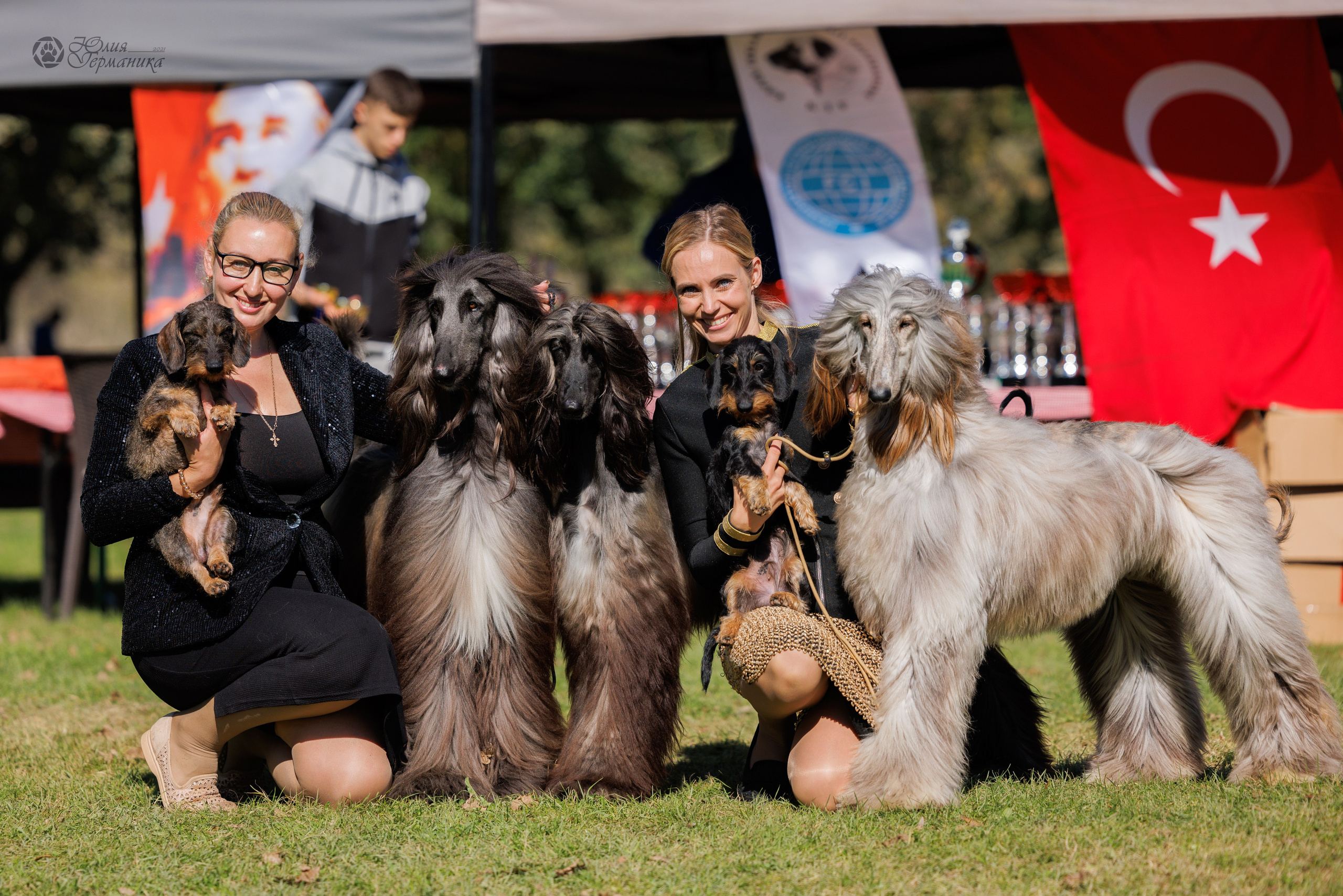 Туция,Стамбул 2хCACIB 26-27.10.24. Фотограф-анималист Юлия Германика