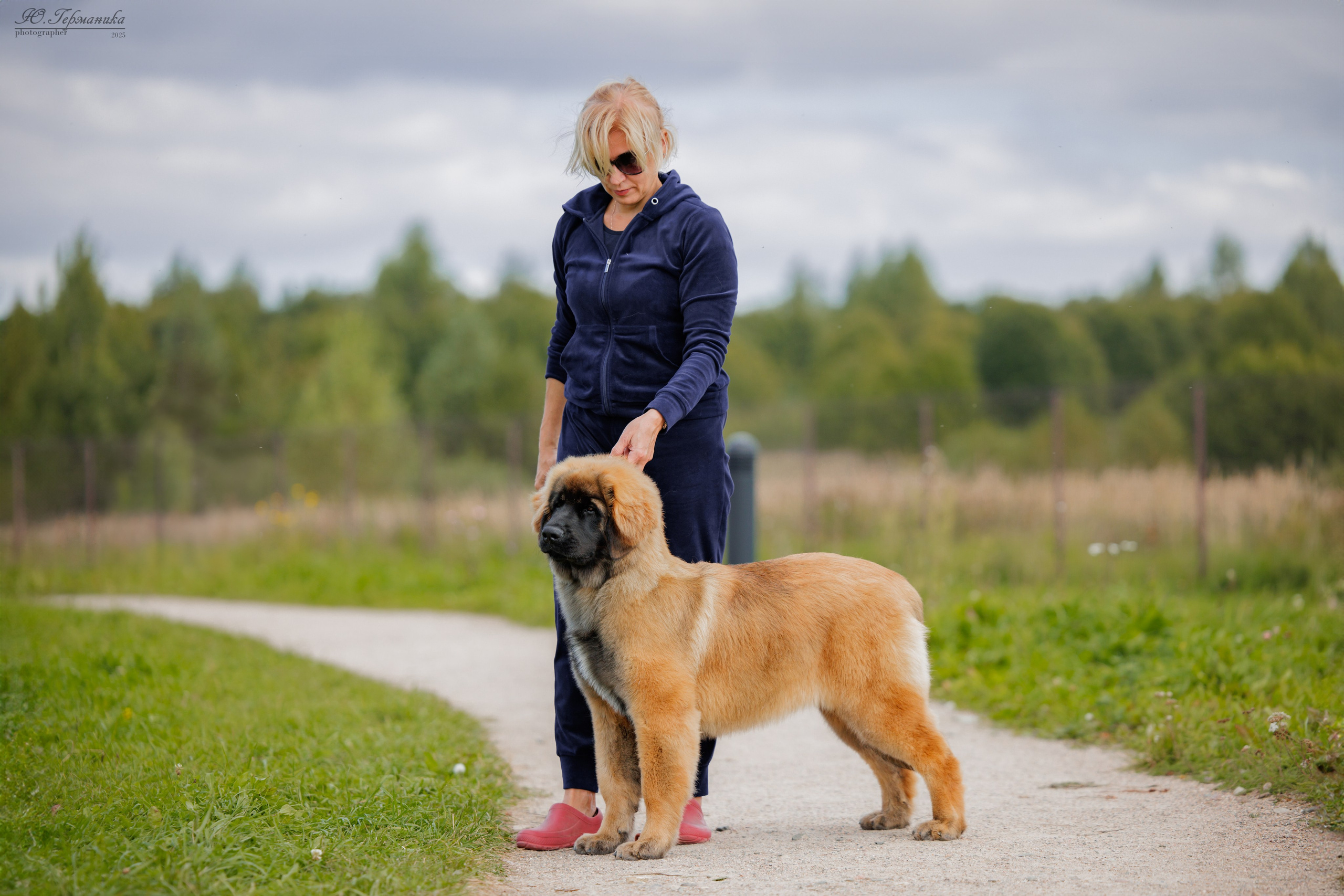 Переславль 5-7.08.2025. Фотограф-анималист Юлия Германика