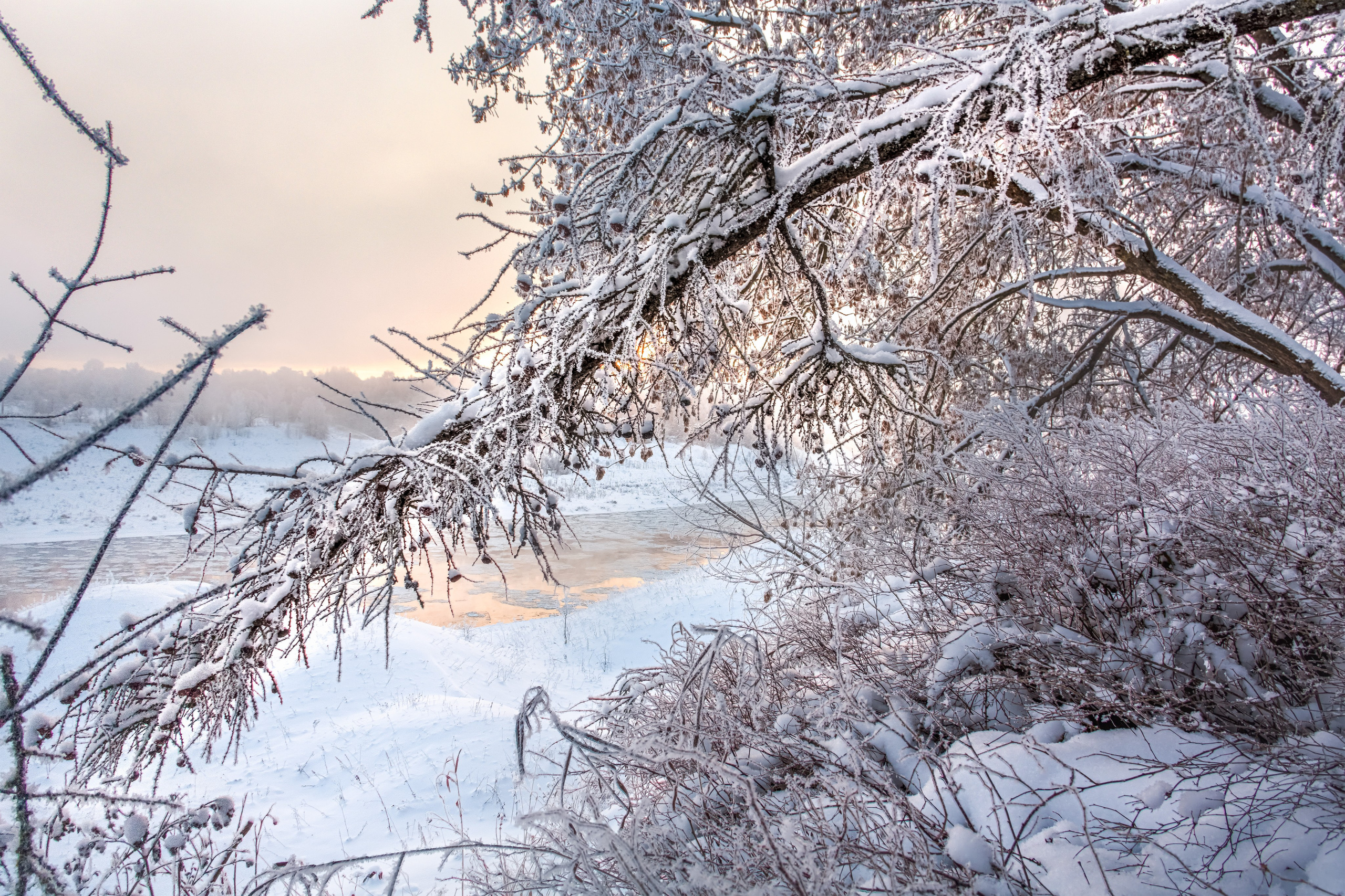 Nature of the Staritsa. Winter. Site of landscape photographer Pavel Krainikov
