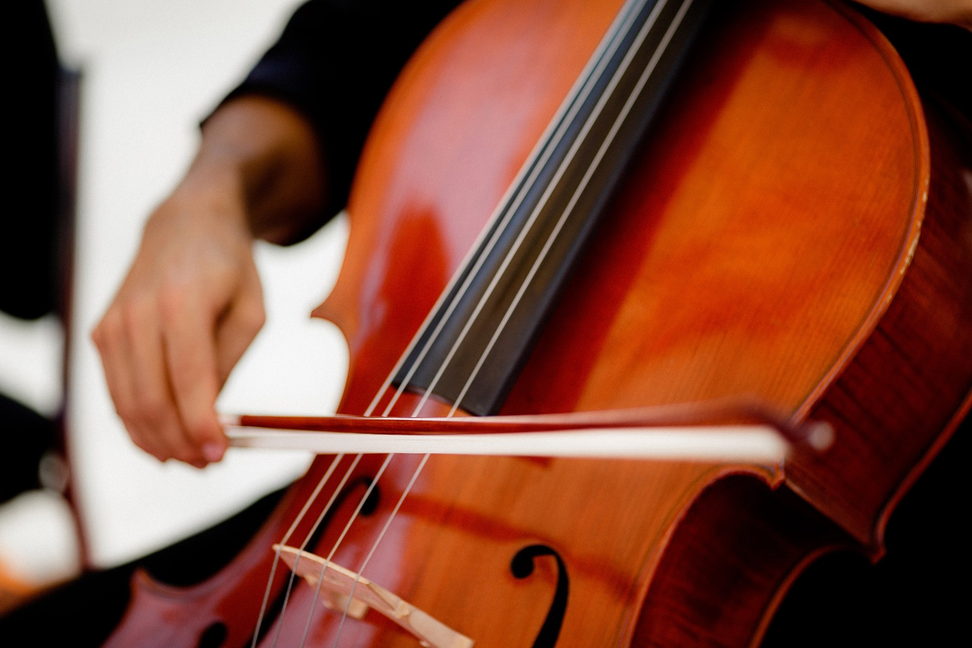 Report VIII. Veedoff