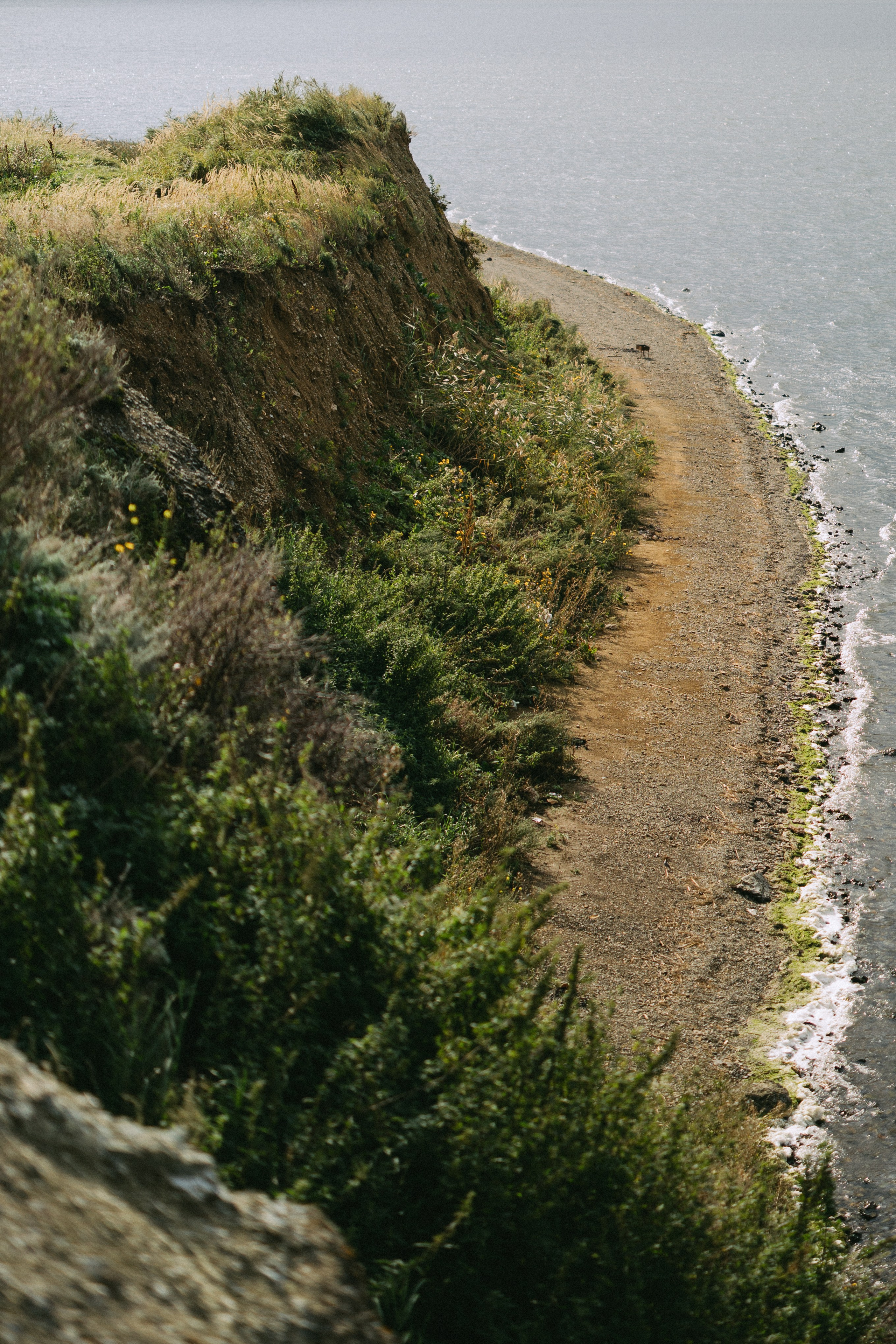 Юля и Карим. Daria Chigintseva Photographer