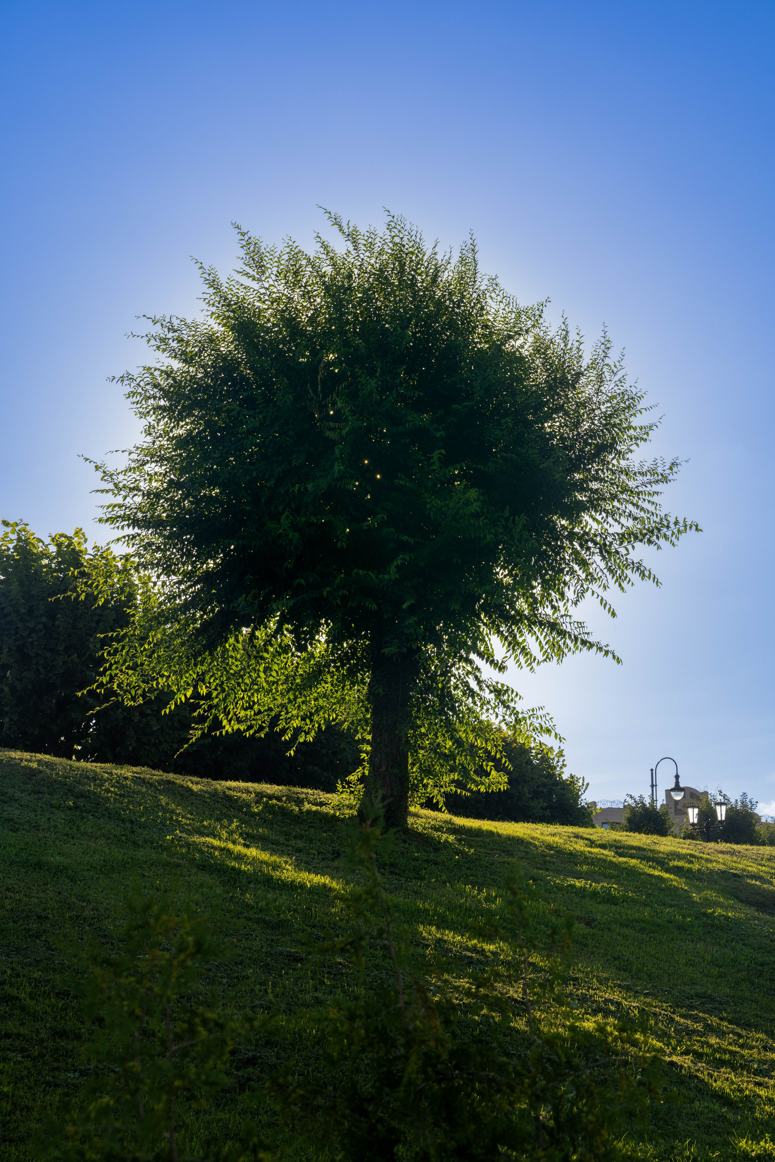 Тамбов. Турист оптимист