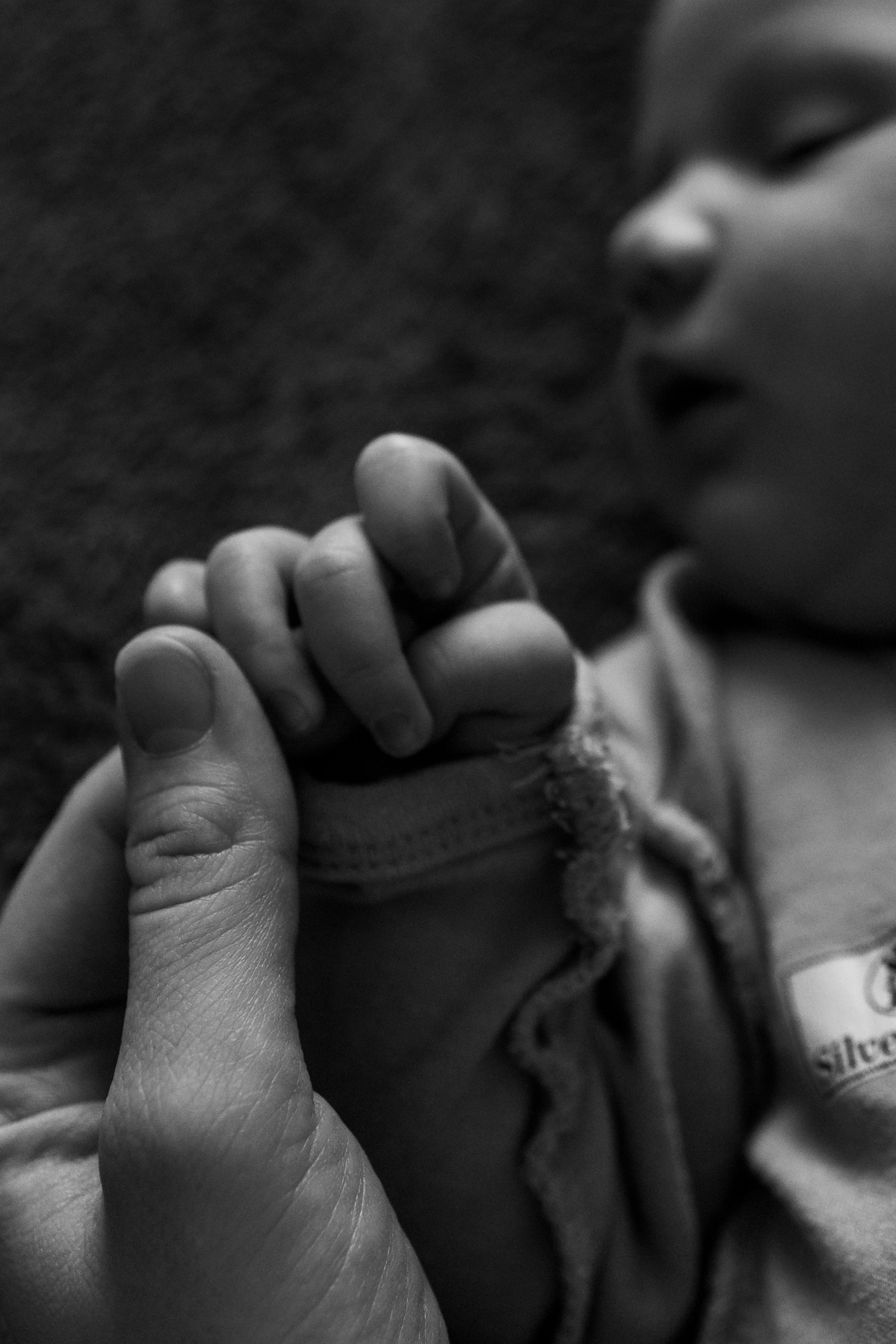 Аленушка дома. Фотограф Новосибирск