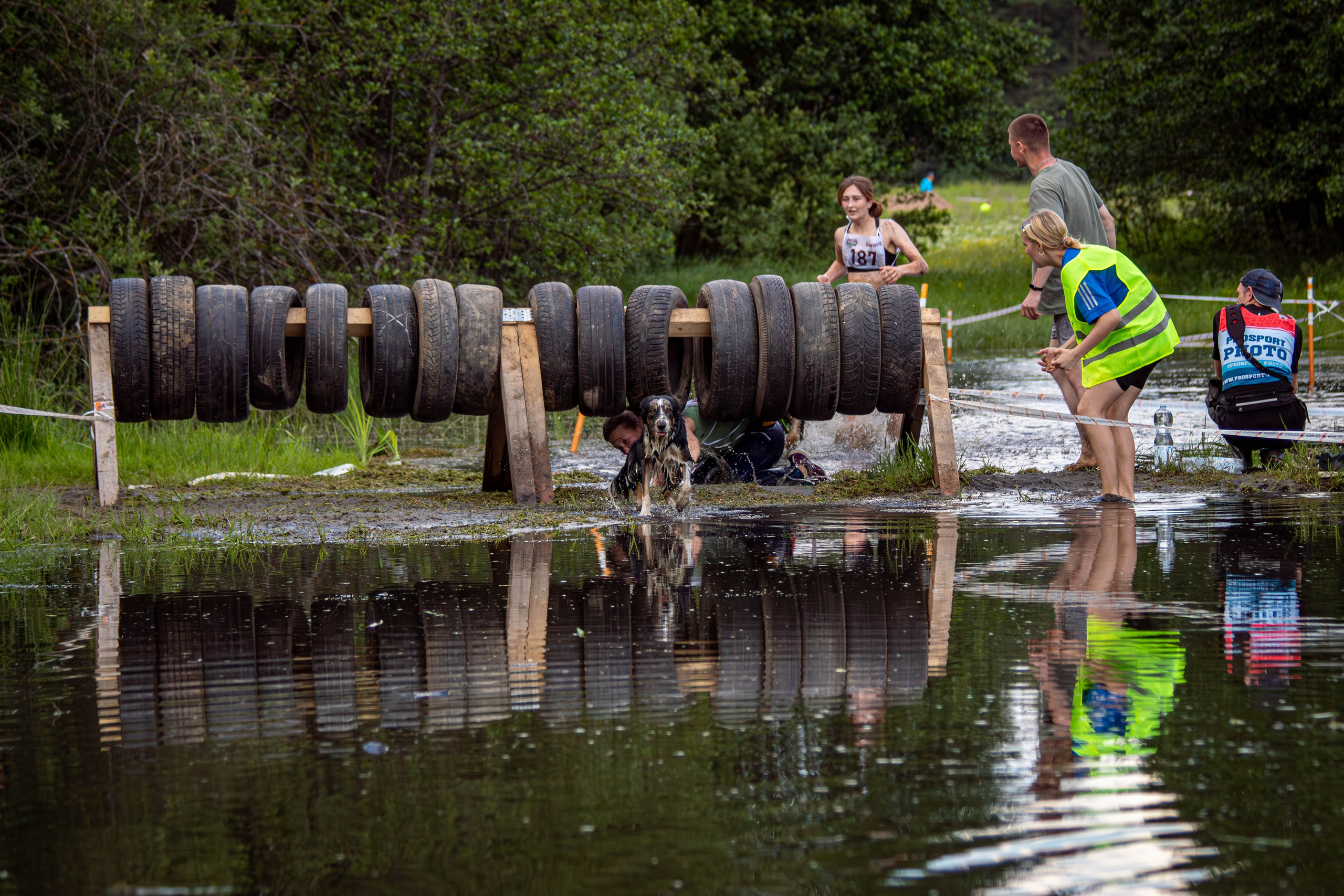 Хвостатый Драйв 2024. Фотограф анималист — Тула, Москва