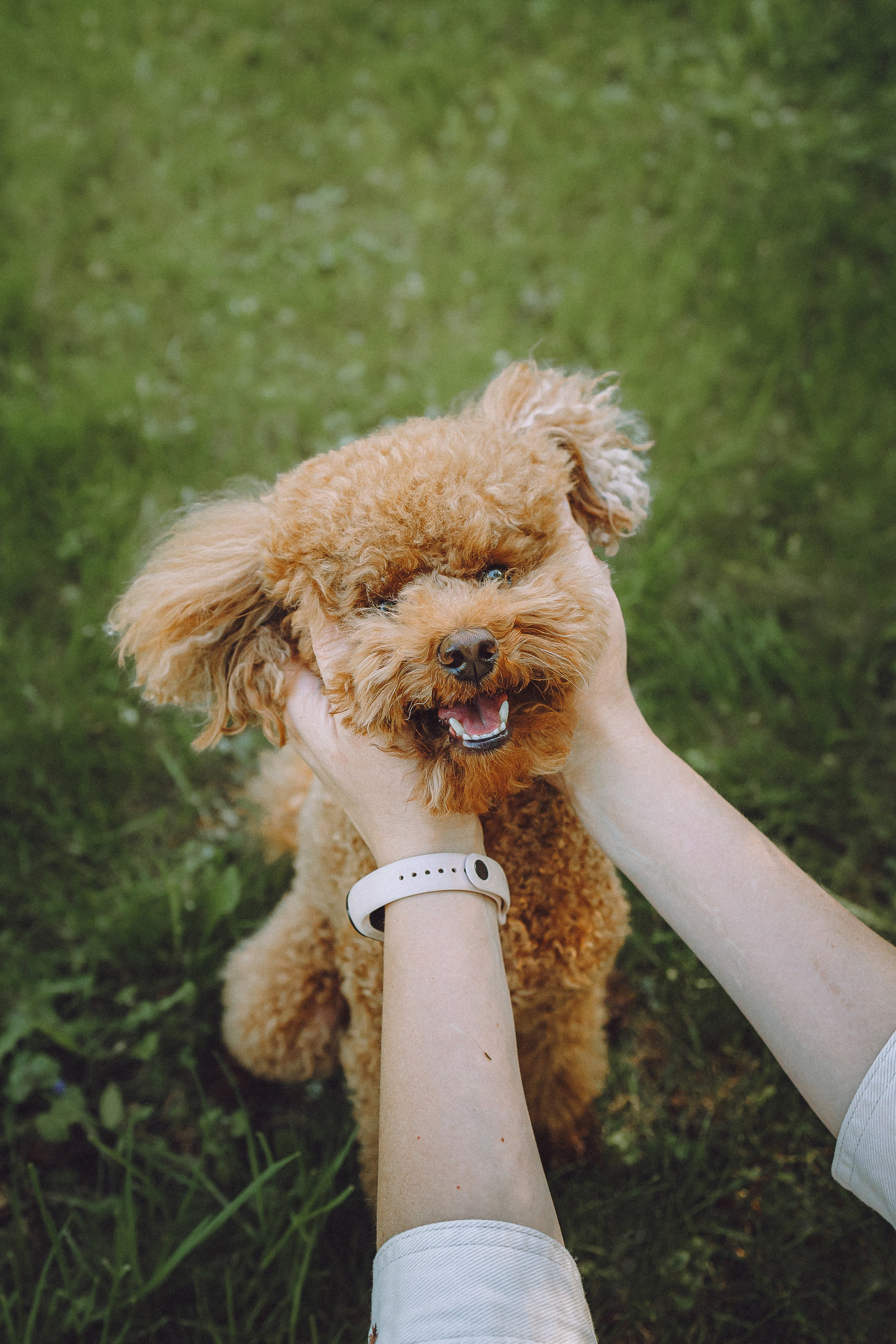 Марья и Буба