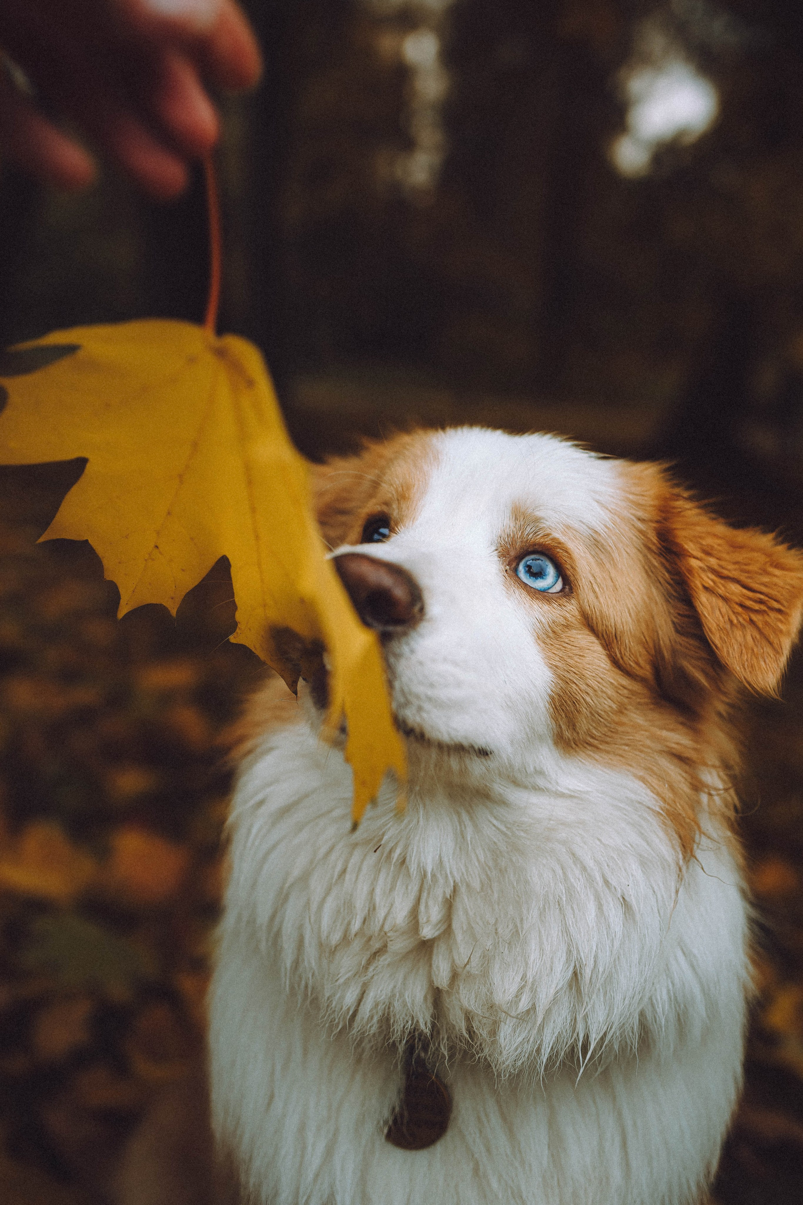 Алина, Витя и Асти