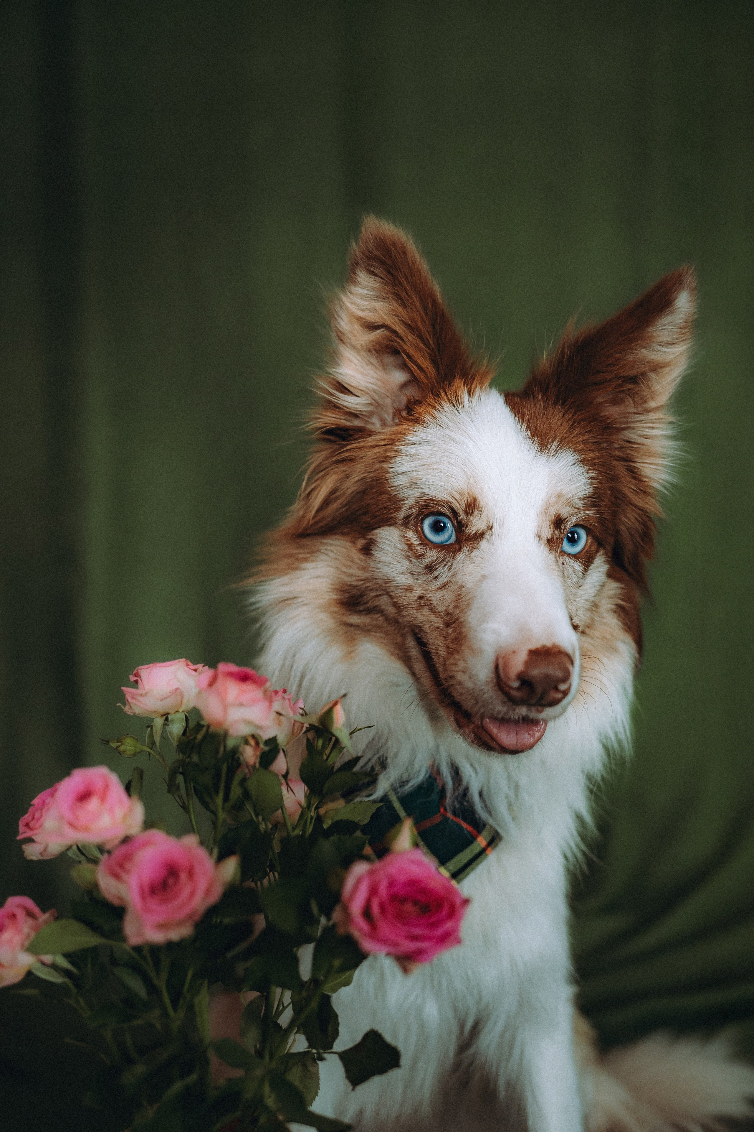 День рождения Айко