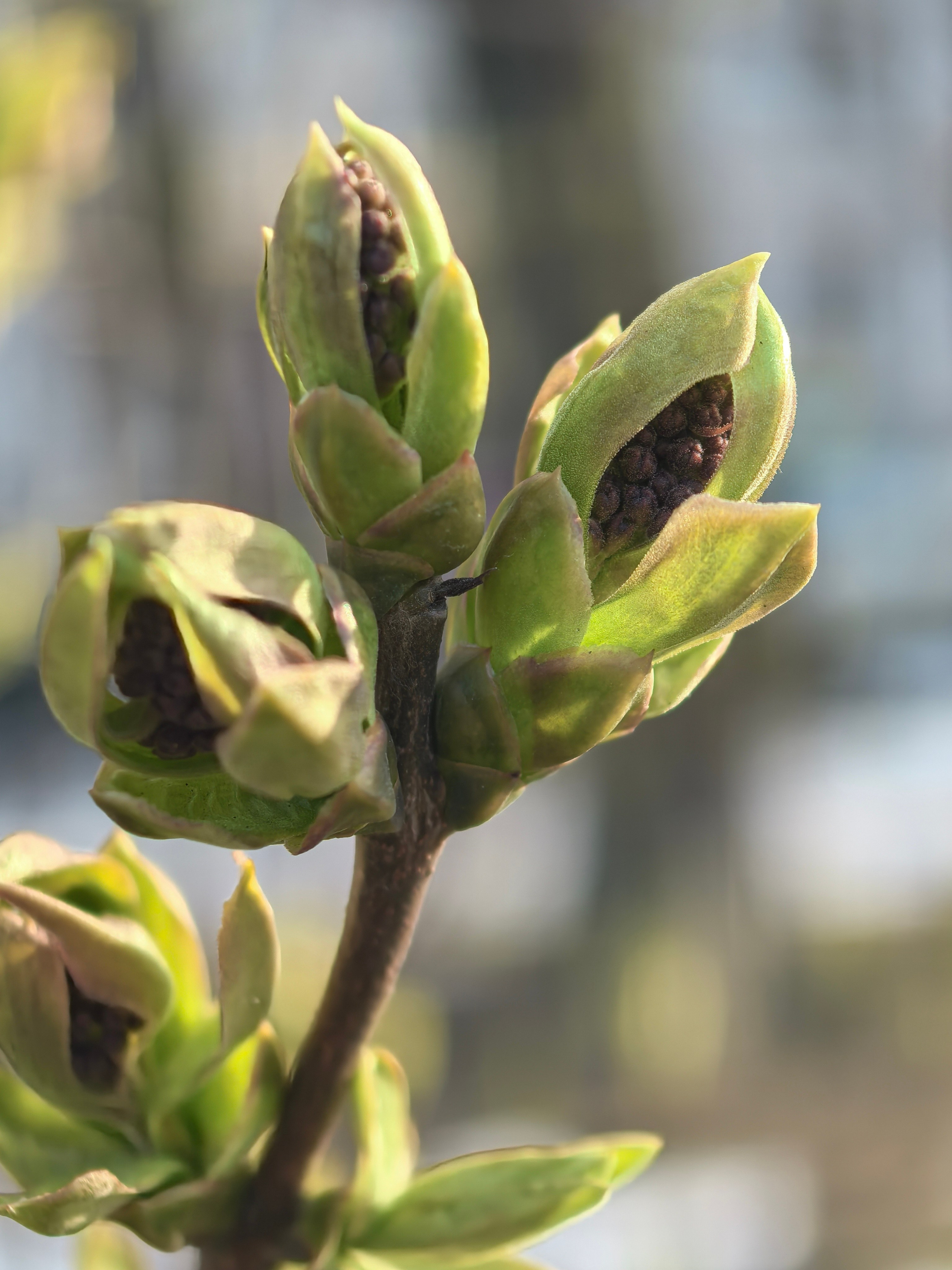 ПочтиМАКРО. Школьные выпускные альбомы в Москве Марина Николаева