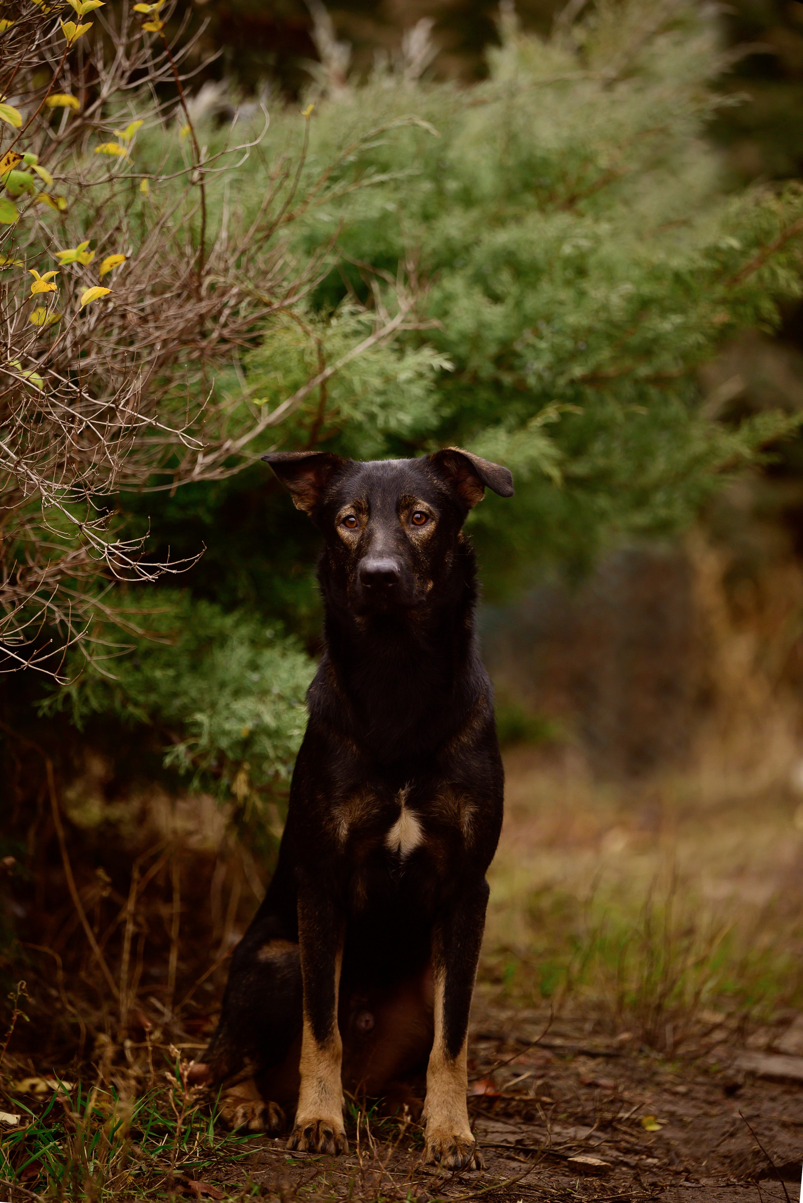 Круассанчики. Мила Астахова