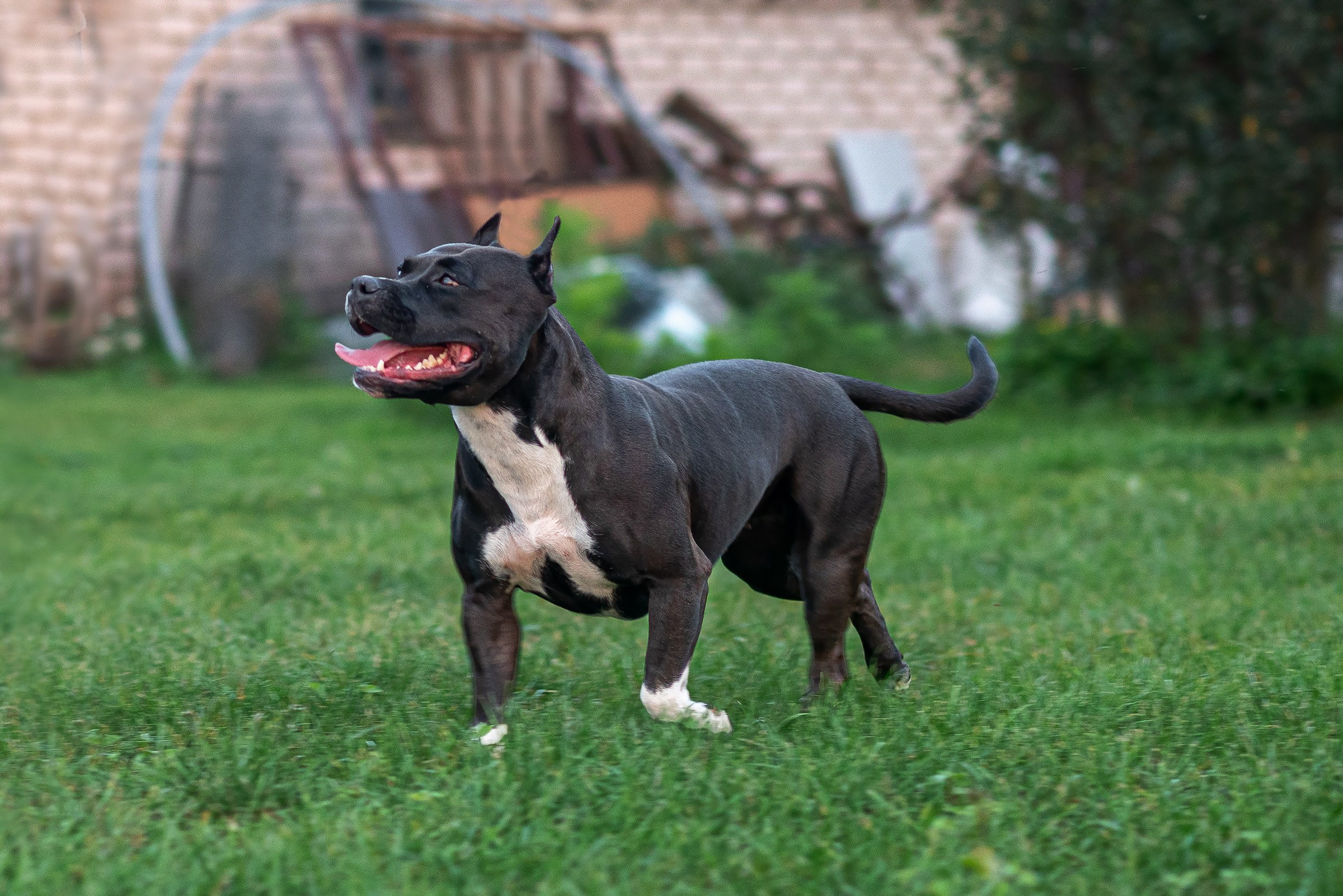 ЖЫВЁЛЫ. Вясельны і партрэтны фатограф Сяргей Клемянок