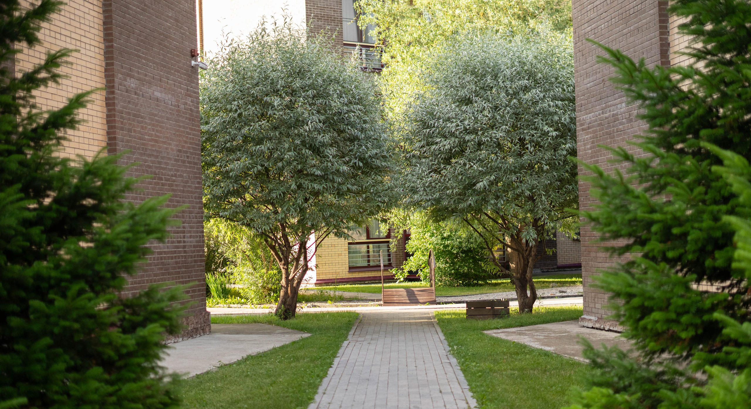 Прогулочная фотосессия Новосибирск Краснообск Love-story  фотосессия Новосибирск Краснообск