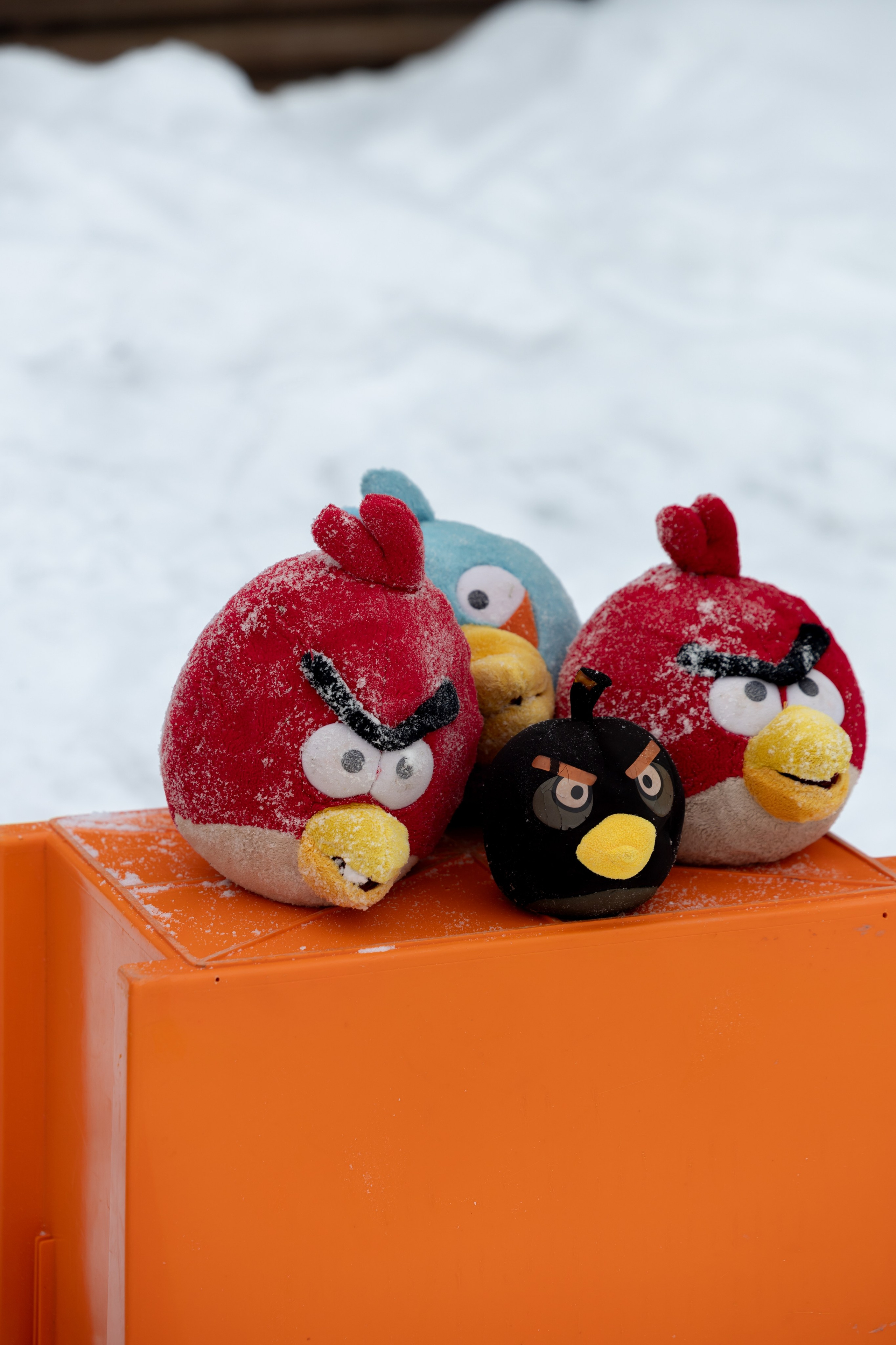 Genius group. Агентство по организации мероприятий