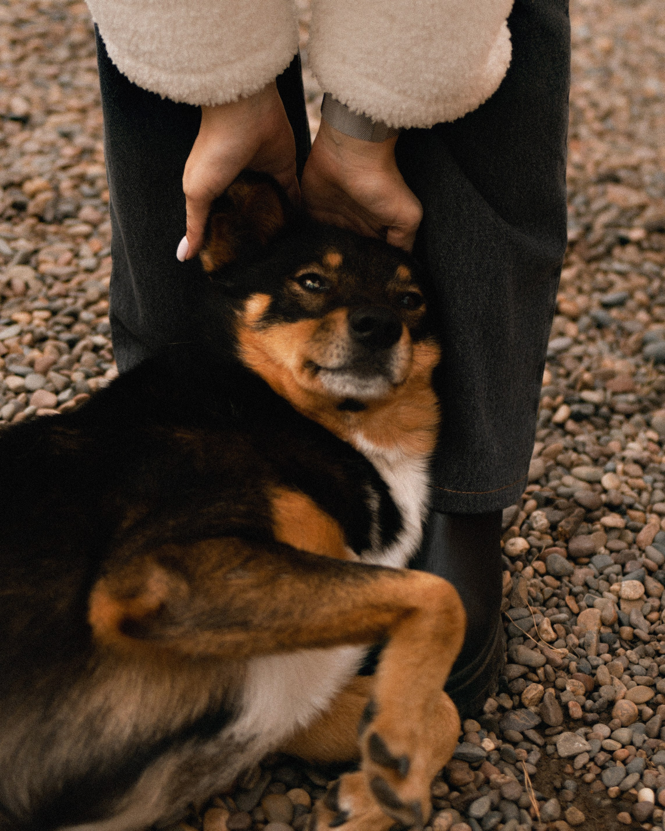 Софья. Фотограф в Красноярске Ксения Дмитрик