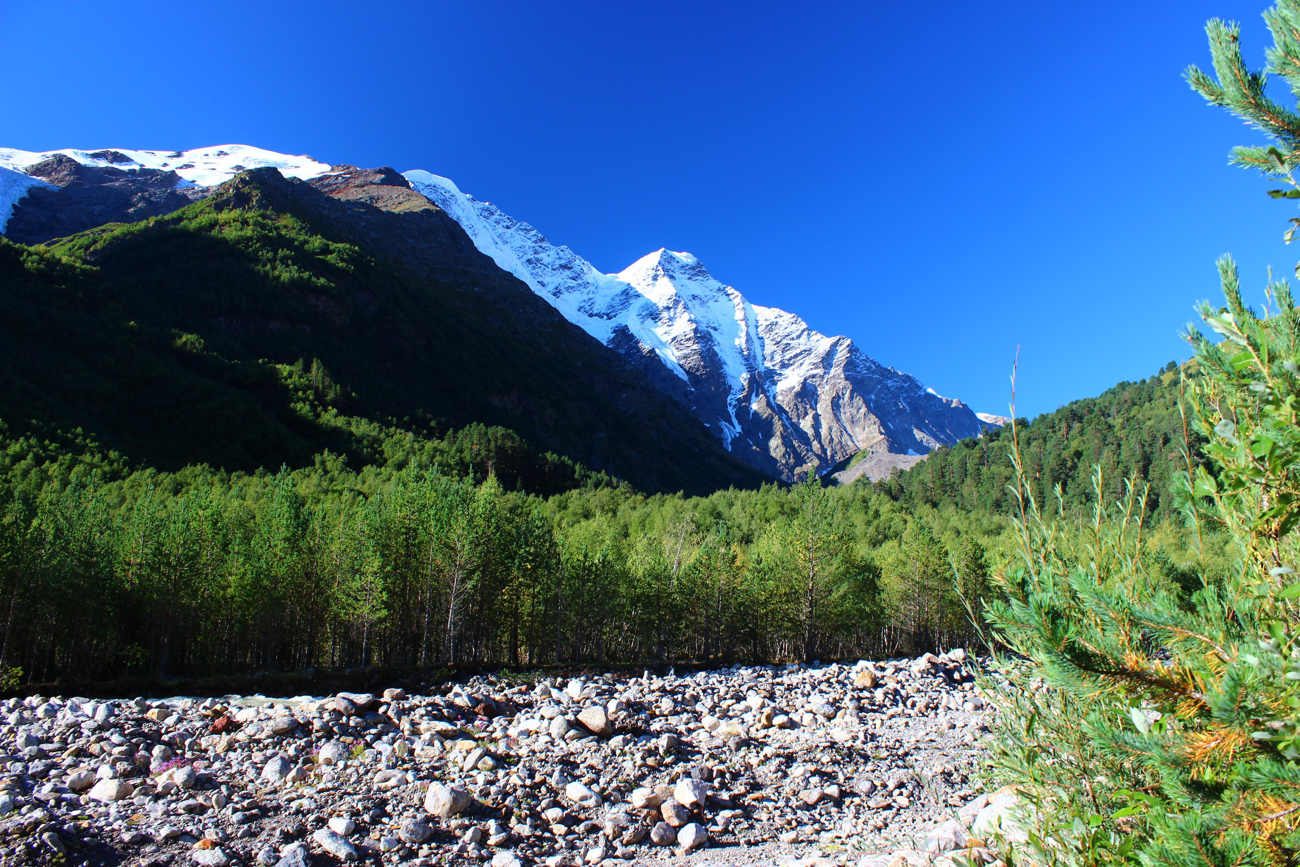 Природа. Свадебный фотограф Расторгуев Дмитрий